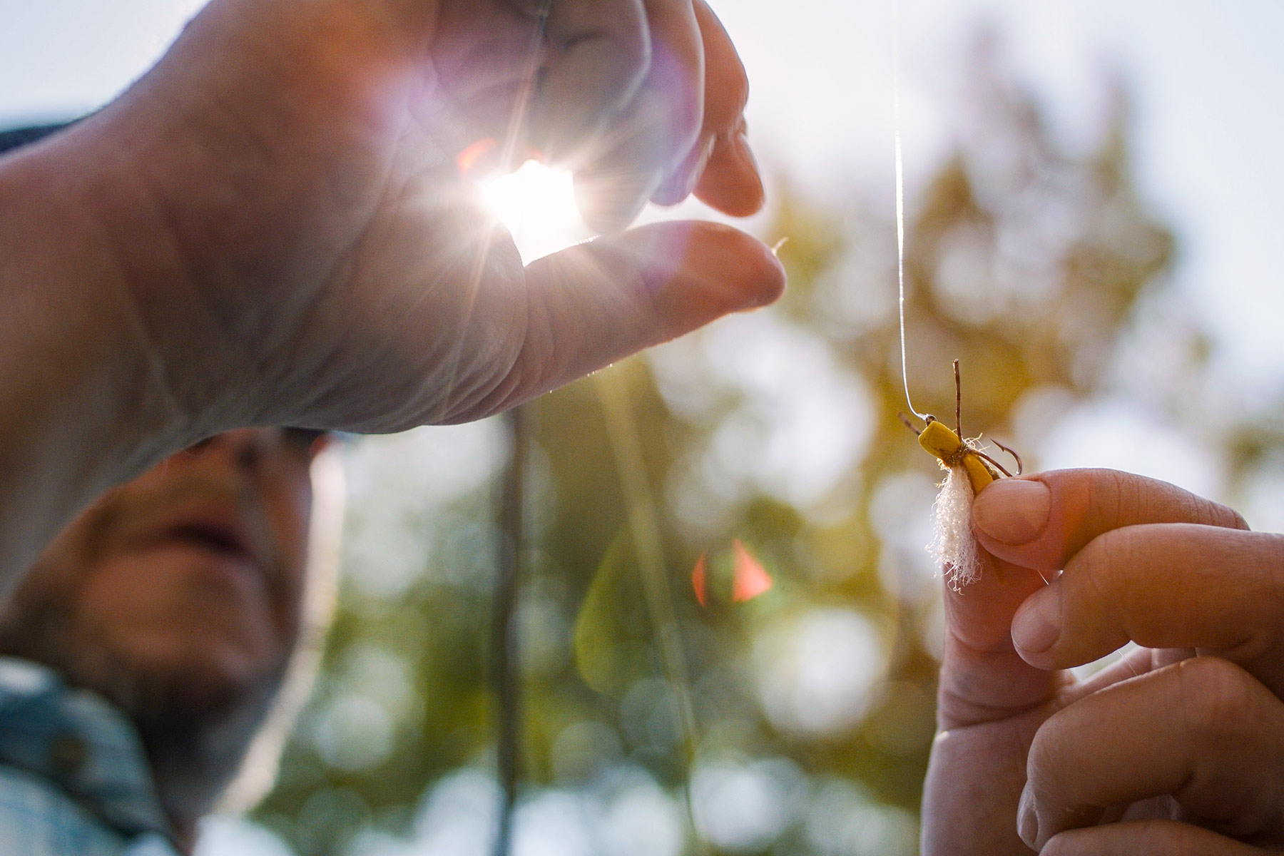 Sanctuary Ranch property picture 54 of 60