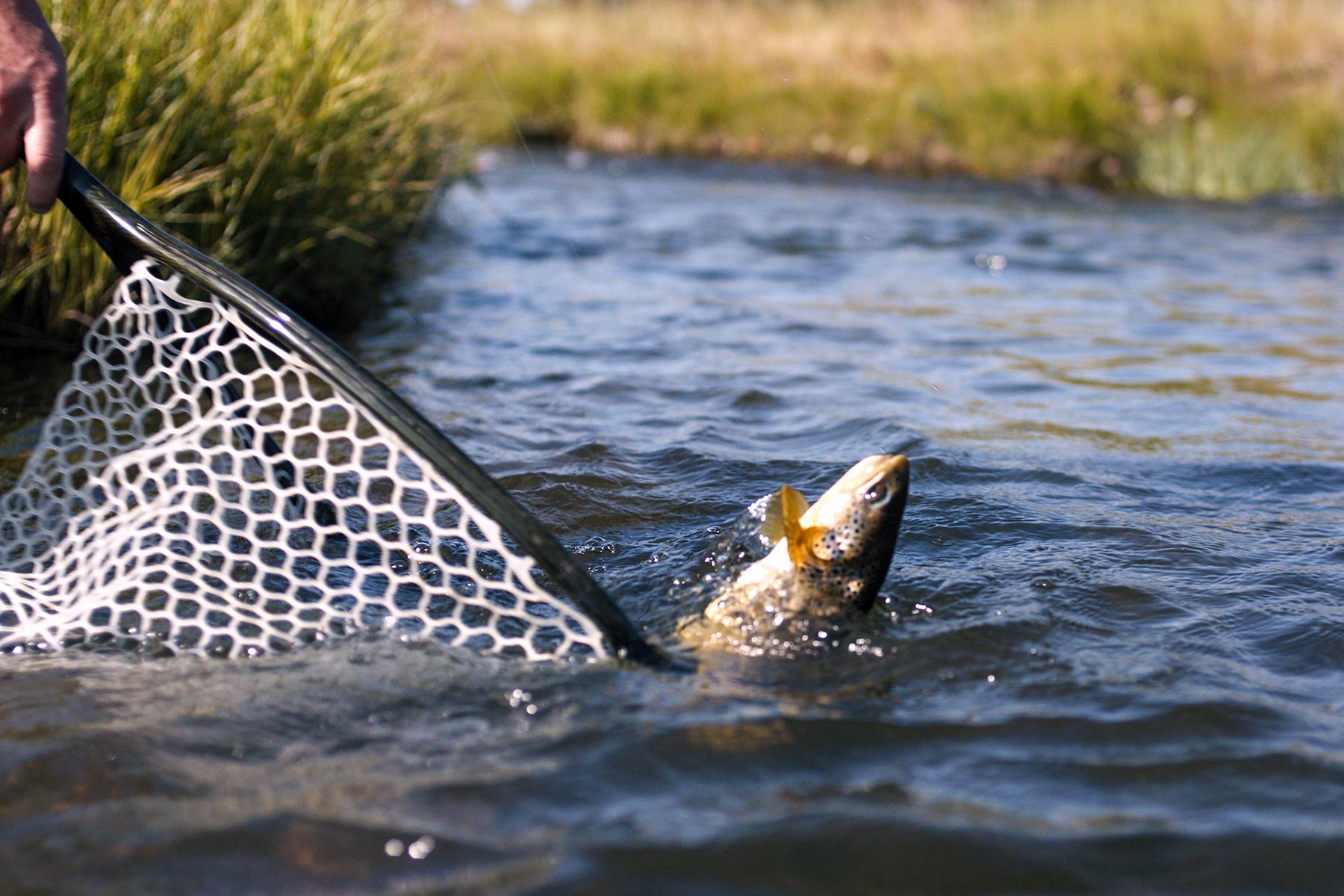 Sanctuary Ranch property picture 60 of 60