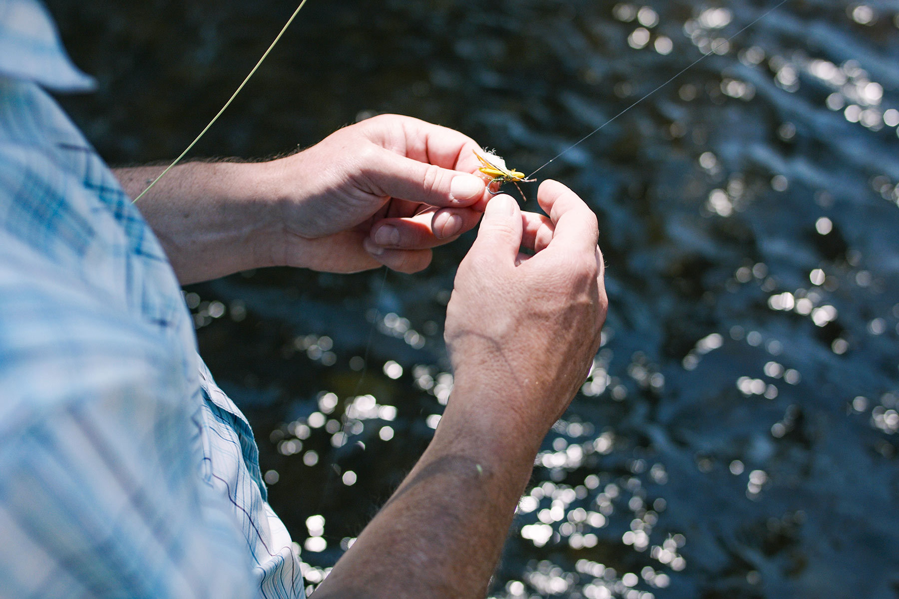 Sanctuary Ranch property picture 53 of 60