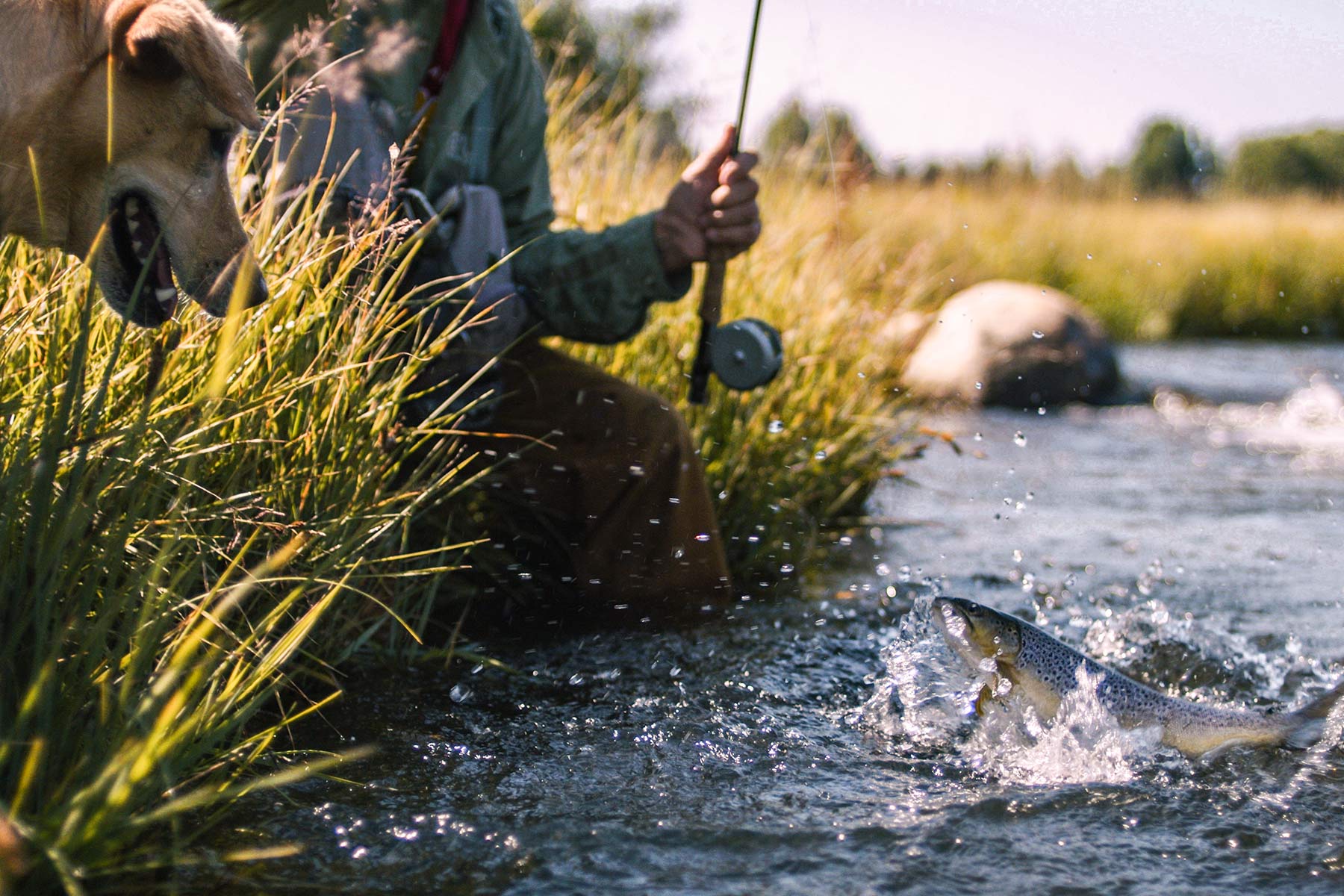 Sanctuary Ranch property picture 59 of 60