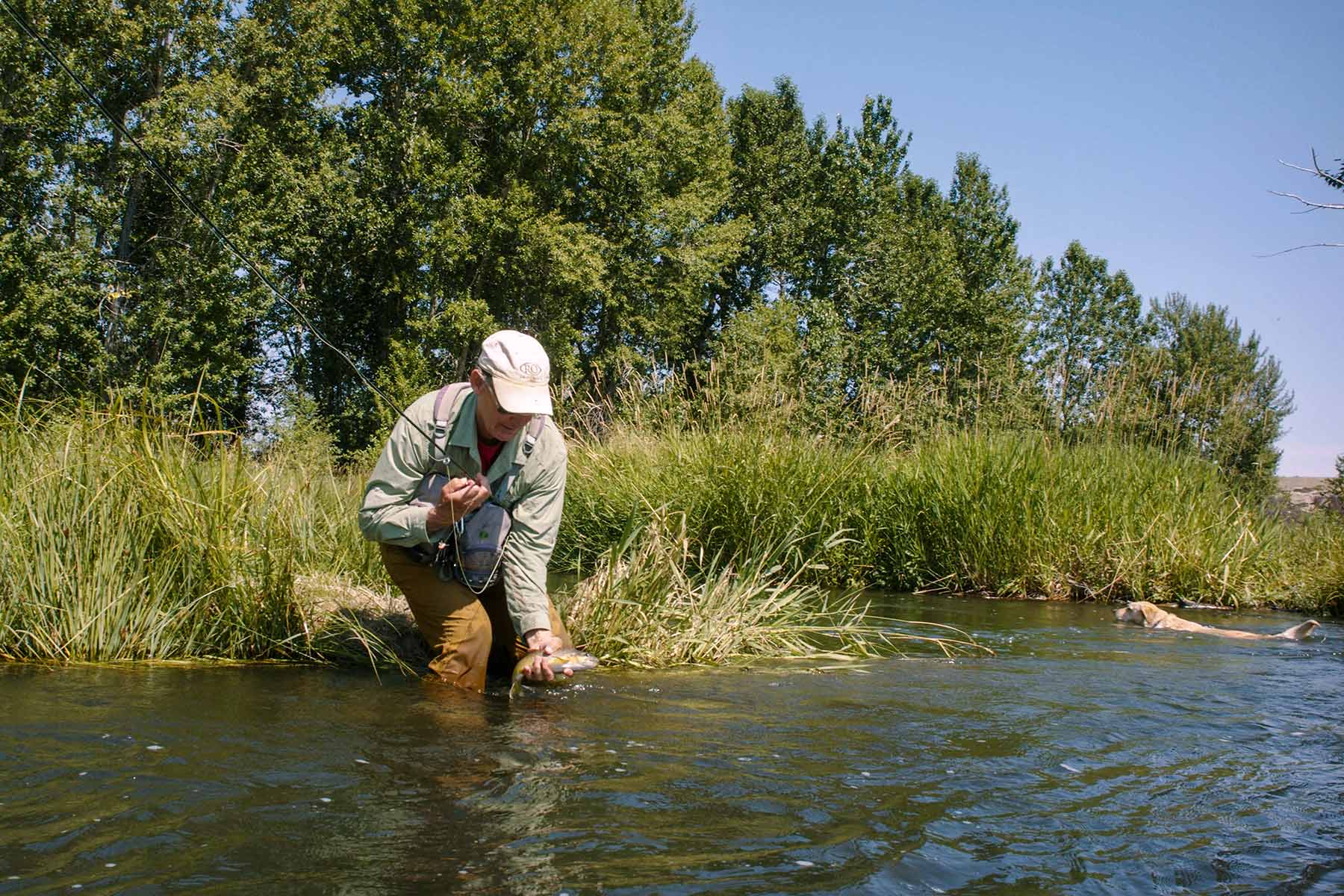 Sanctuary Ranch property picture 55 of 60