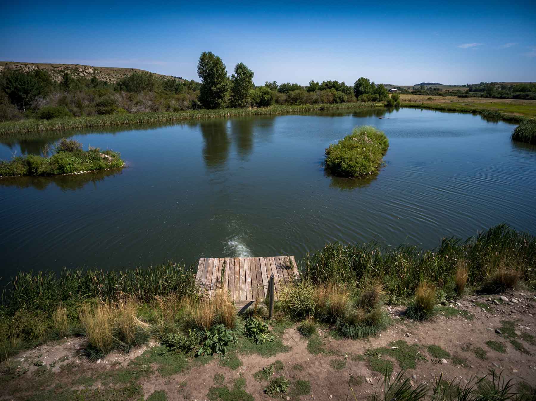 Sanctuary Ranch property picture 31 of 60