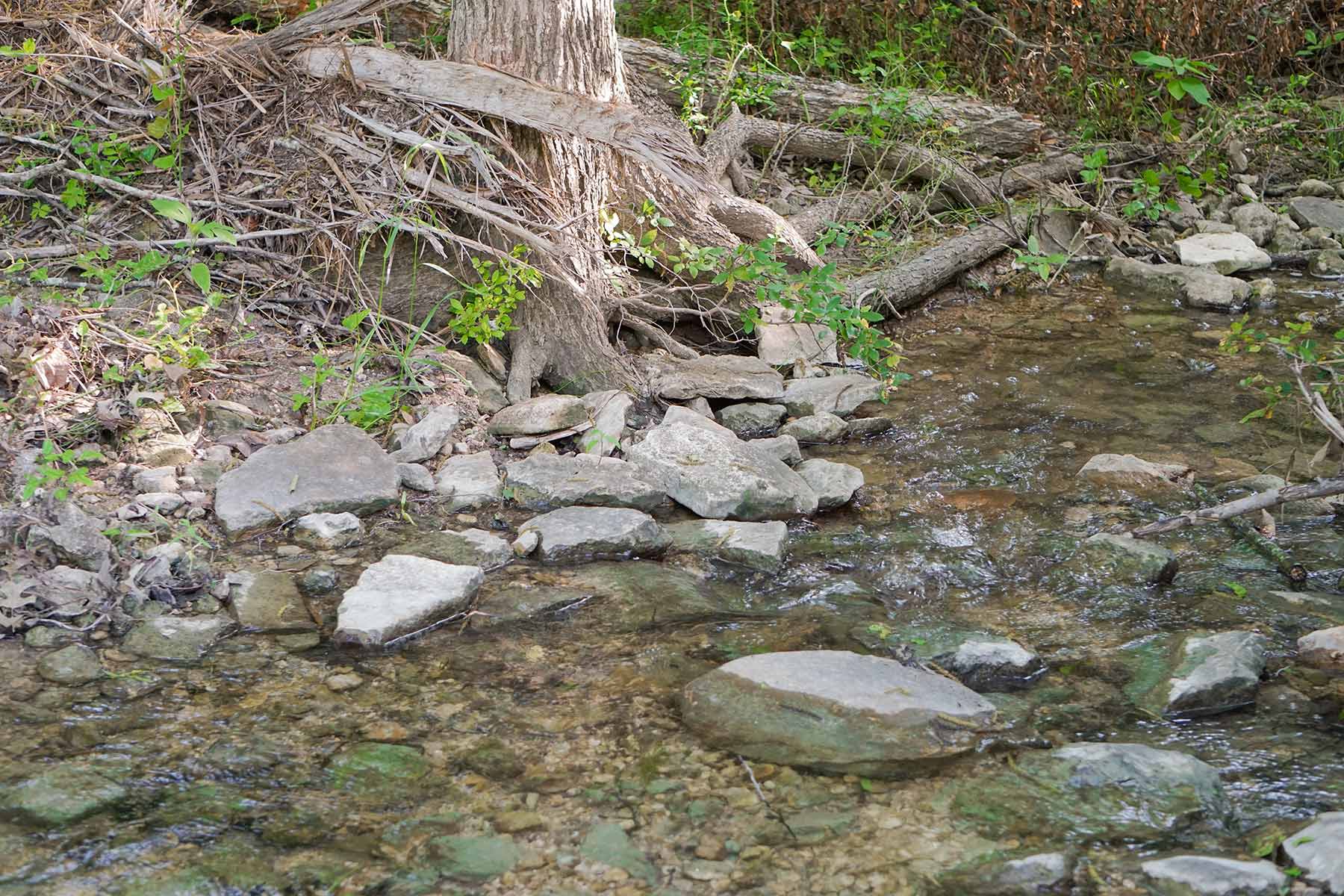 JS Ranch property picture 2 of 41