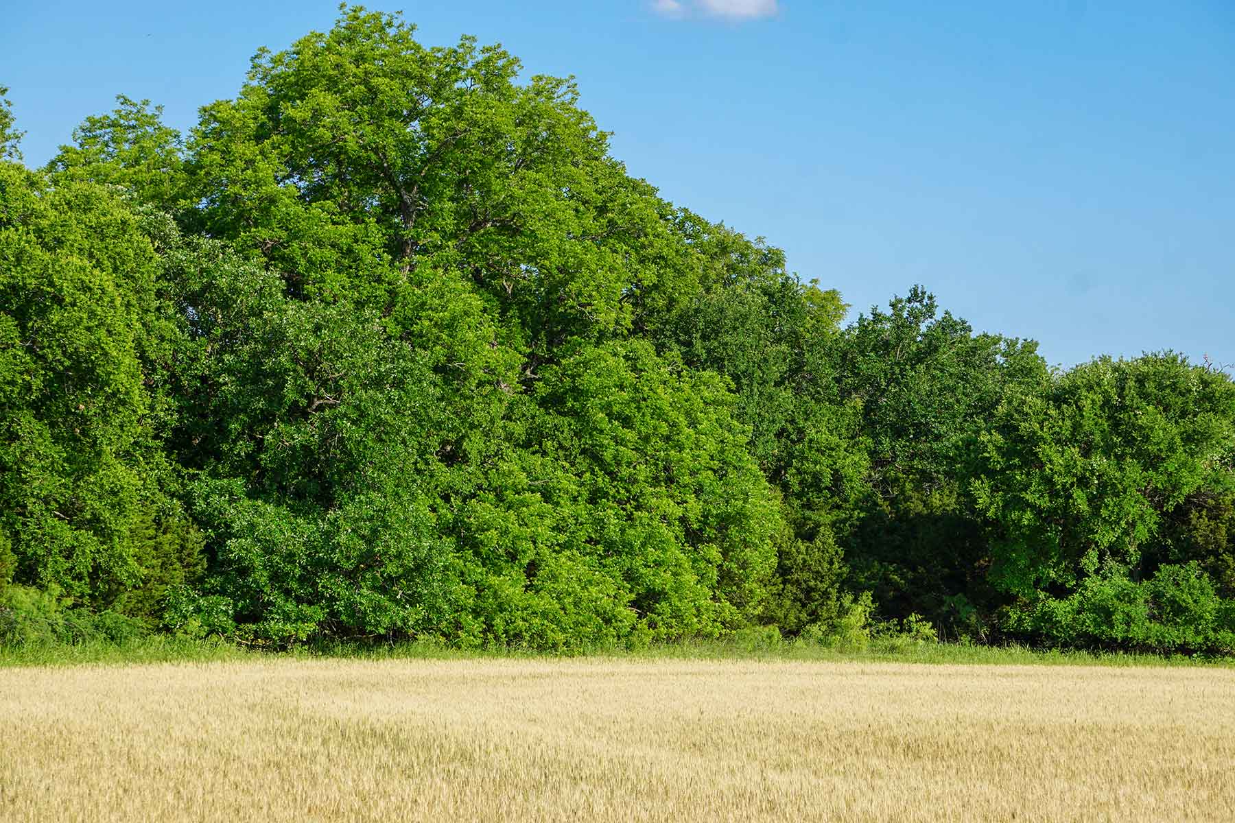 JS Ranch property picture 20 of 41
