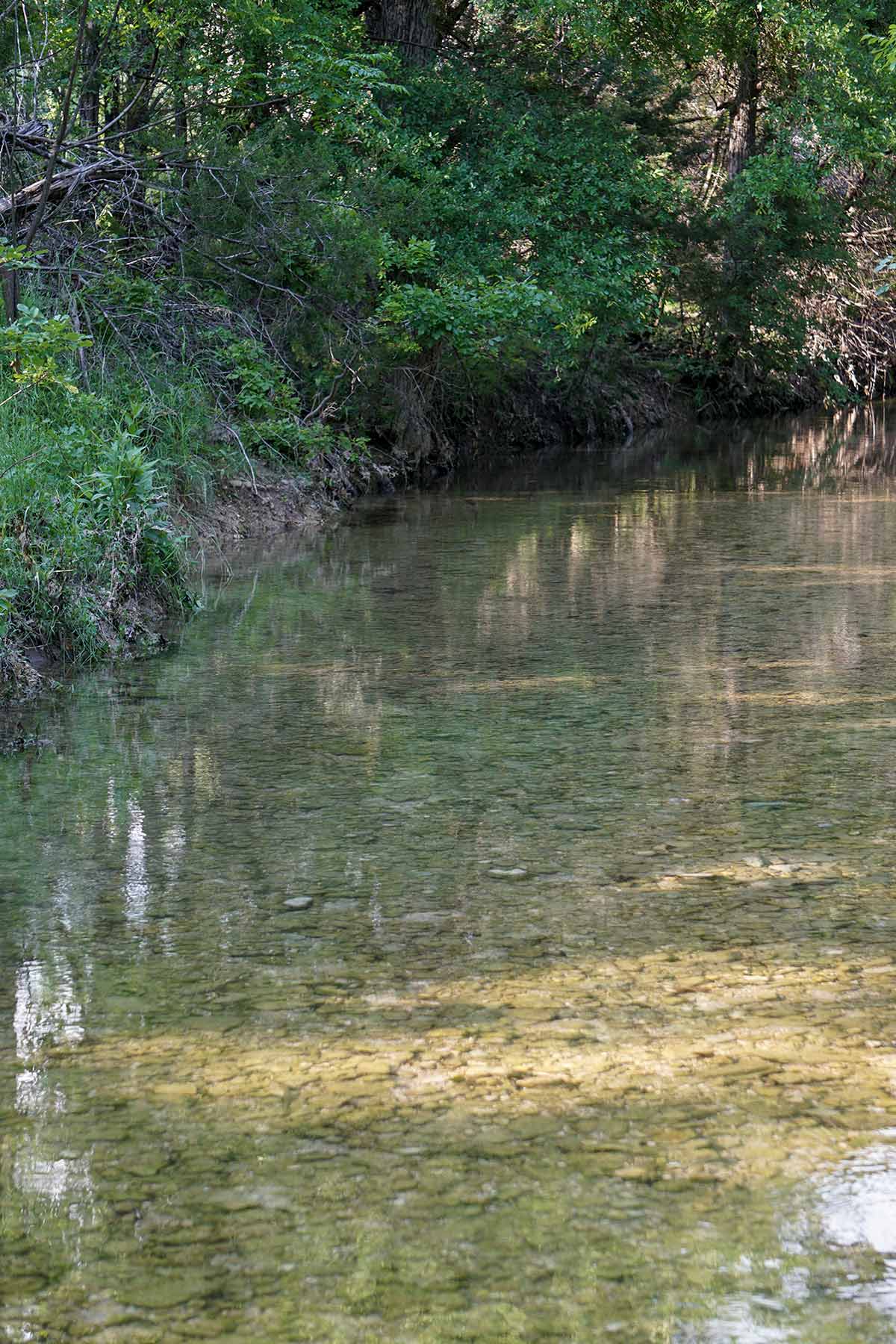 JS Ranch property picture 21 of 41