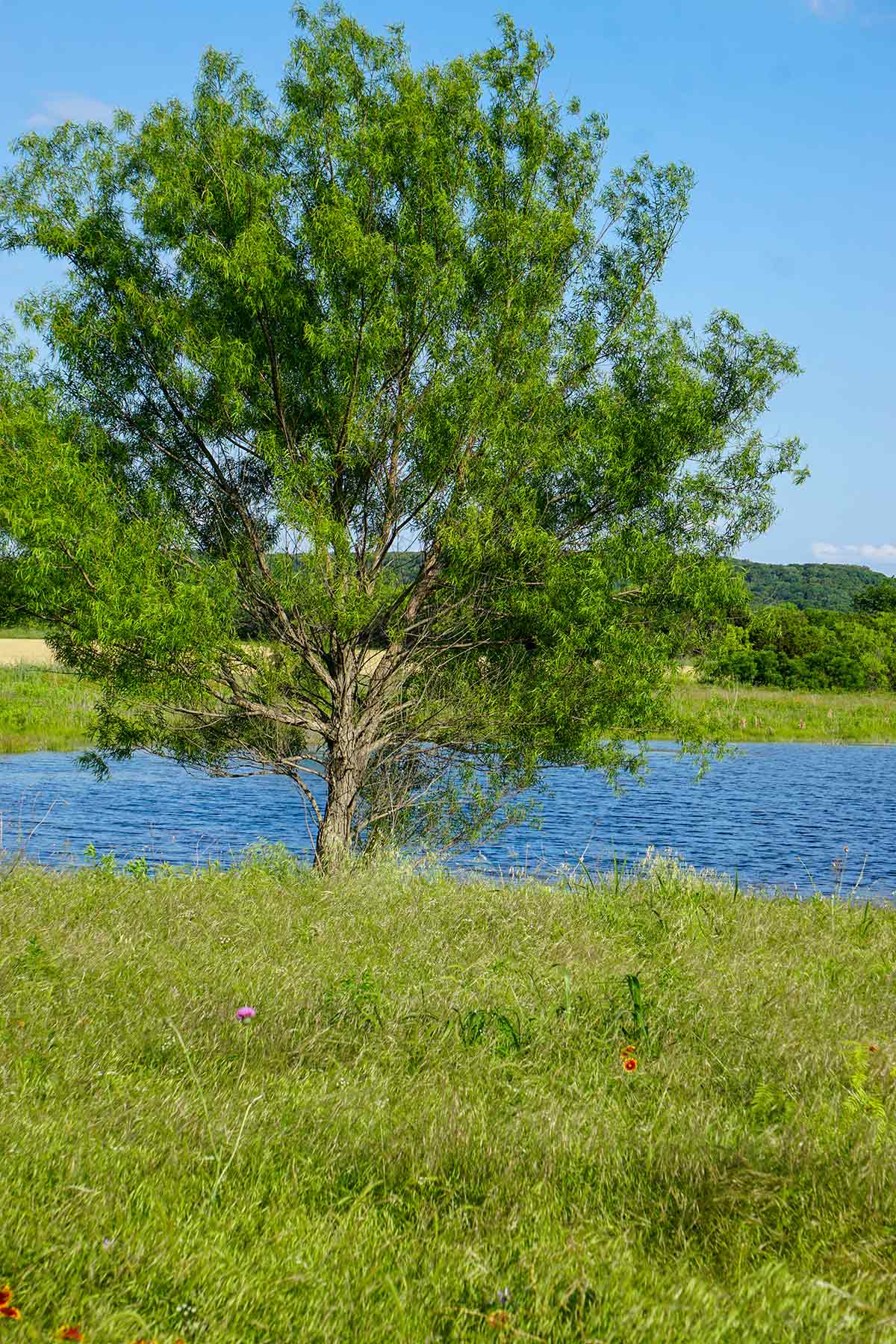 JS Ranch property picture 33 of 41