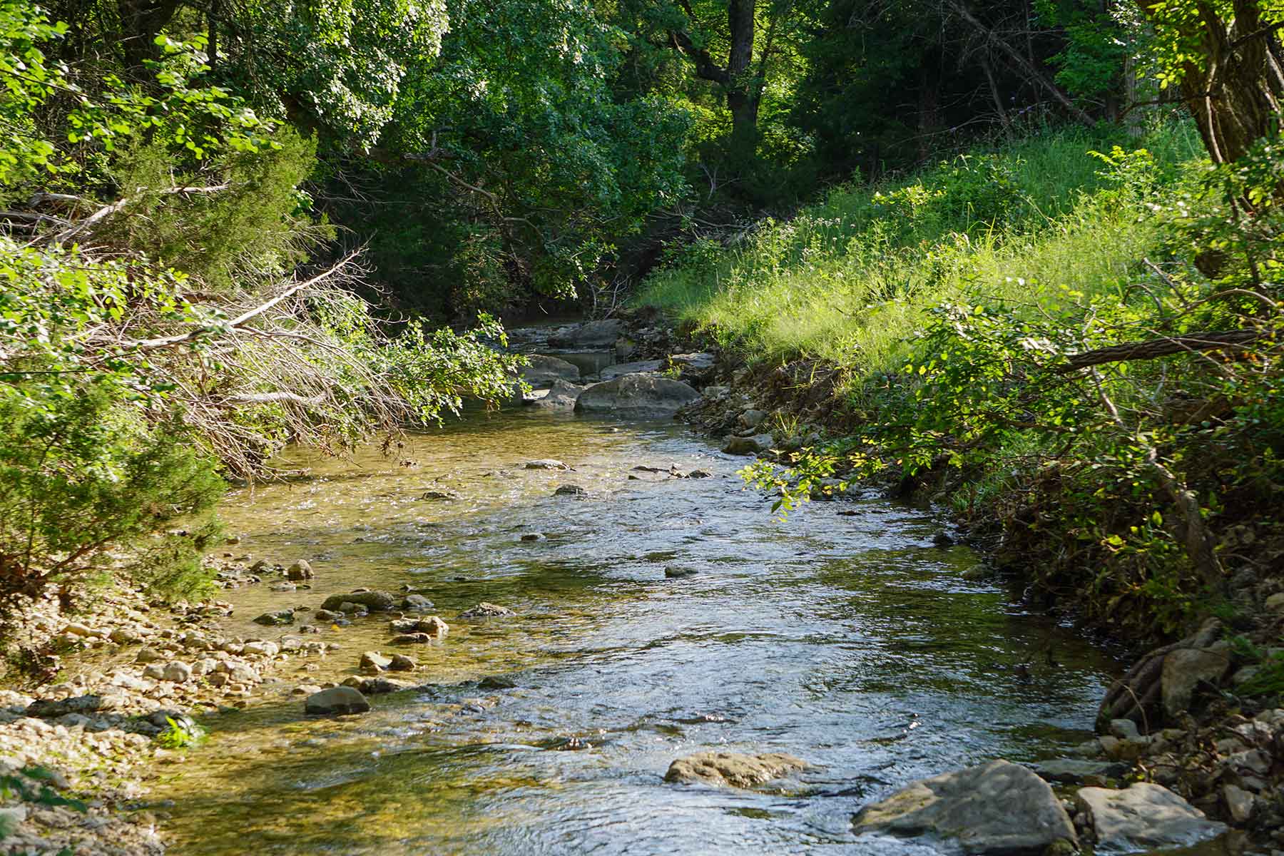 JS Ranch property picture 29 of 41