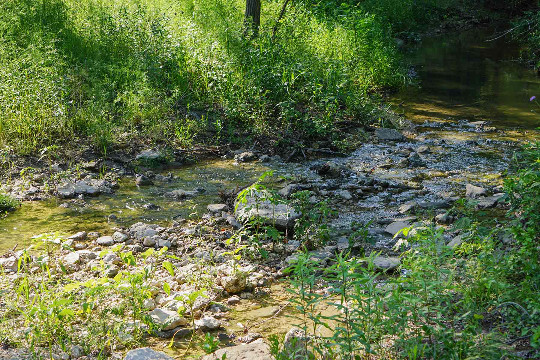 JS Ranch property picture 7 of 41