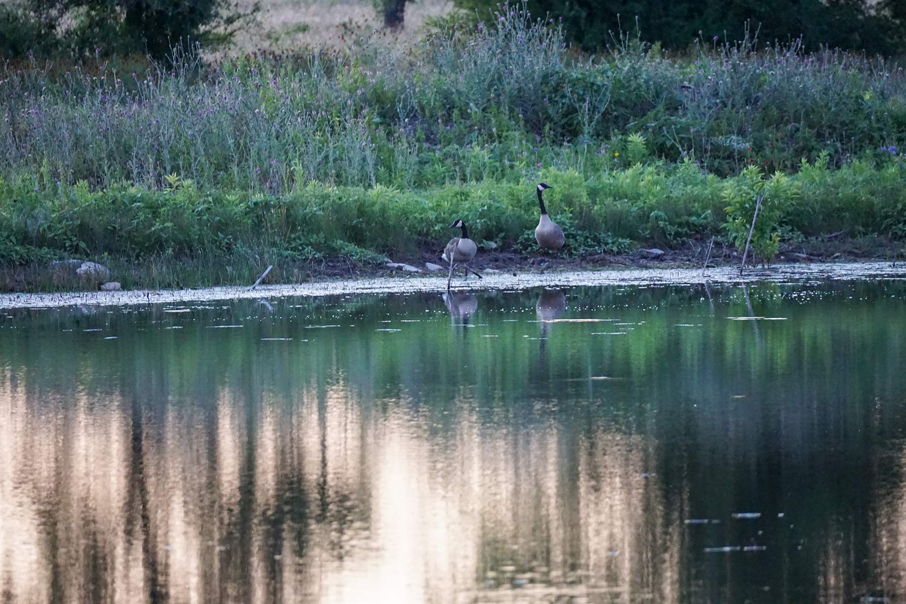 JS Ranch property picture 32 of 41