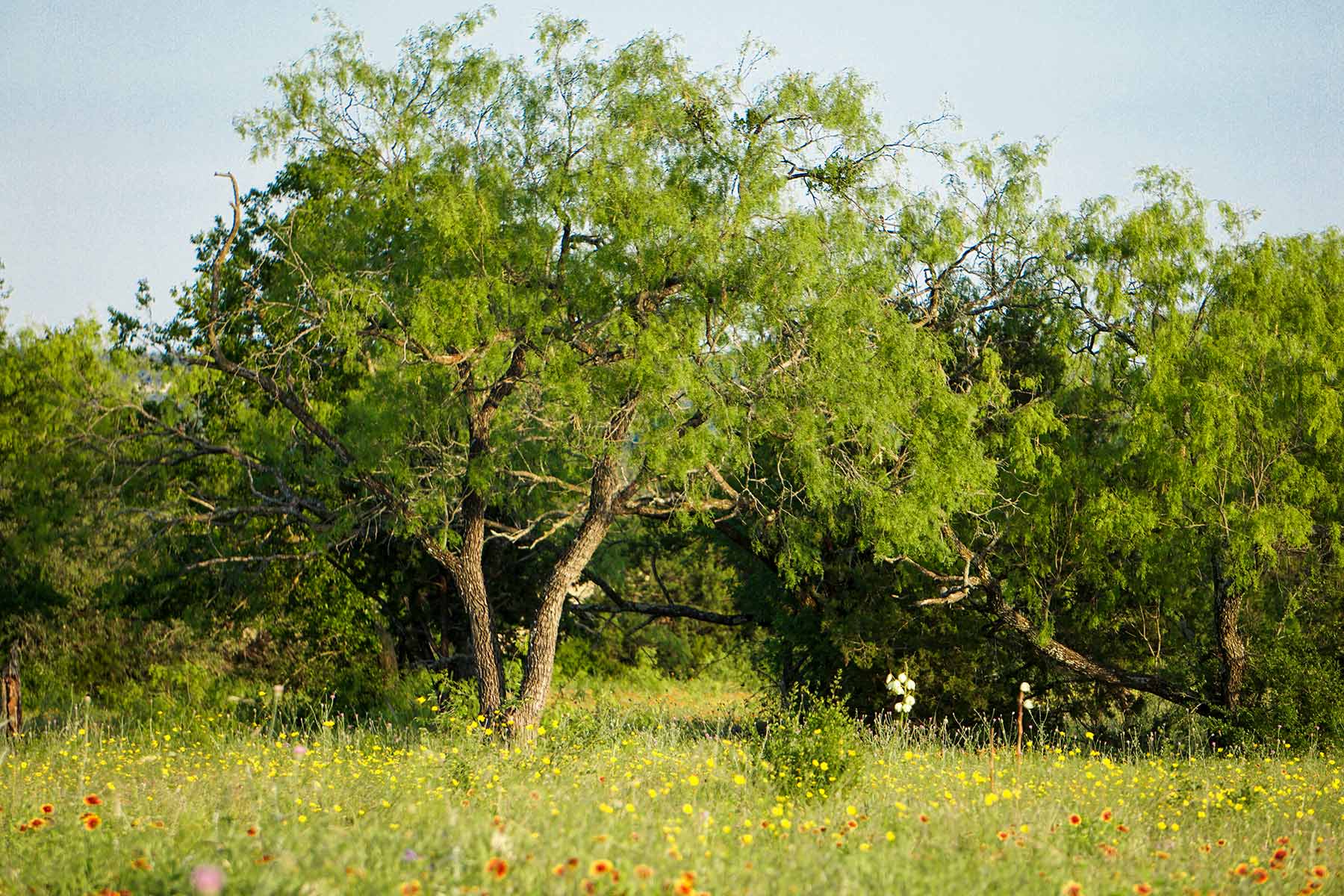 JS Ranch property picture 28 of 41