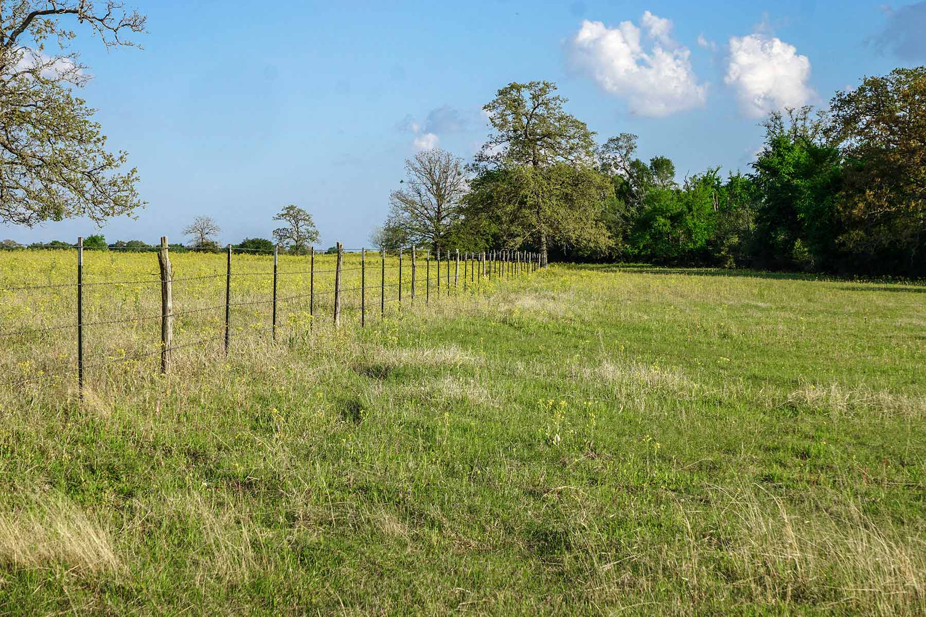 Rainbolt Ranch property picture 9 of 45