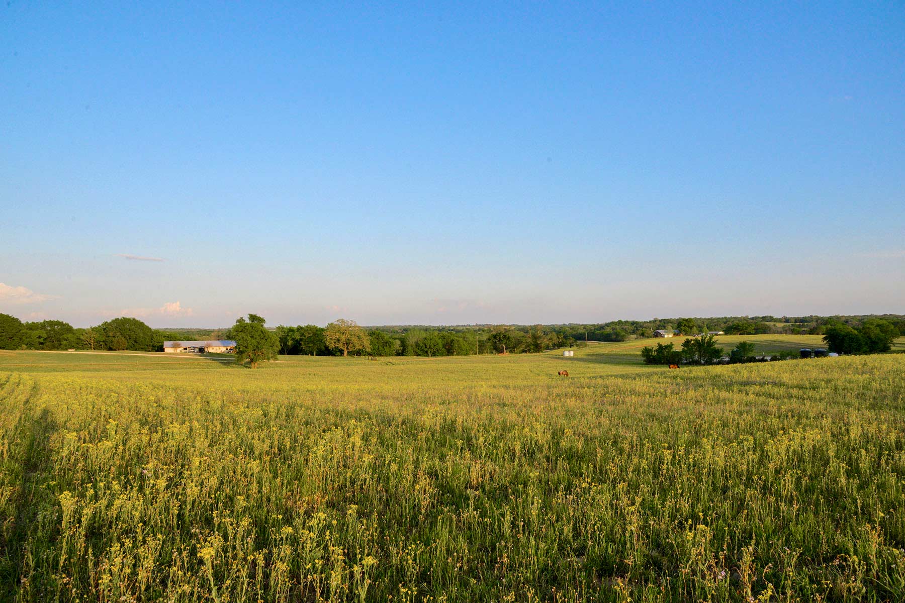 Rainbolt Ranch property picture 6 of 45