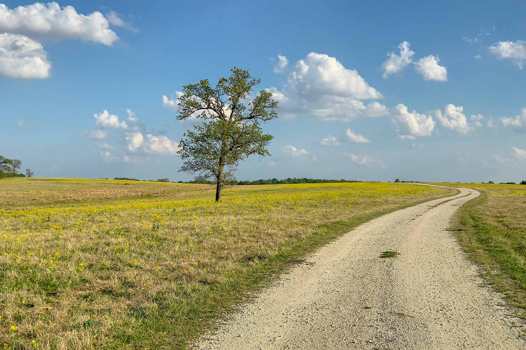 Rainbolt Ranch property picture 23 of 45