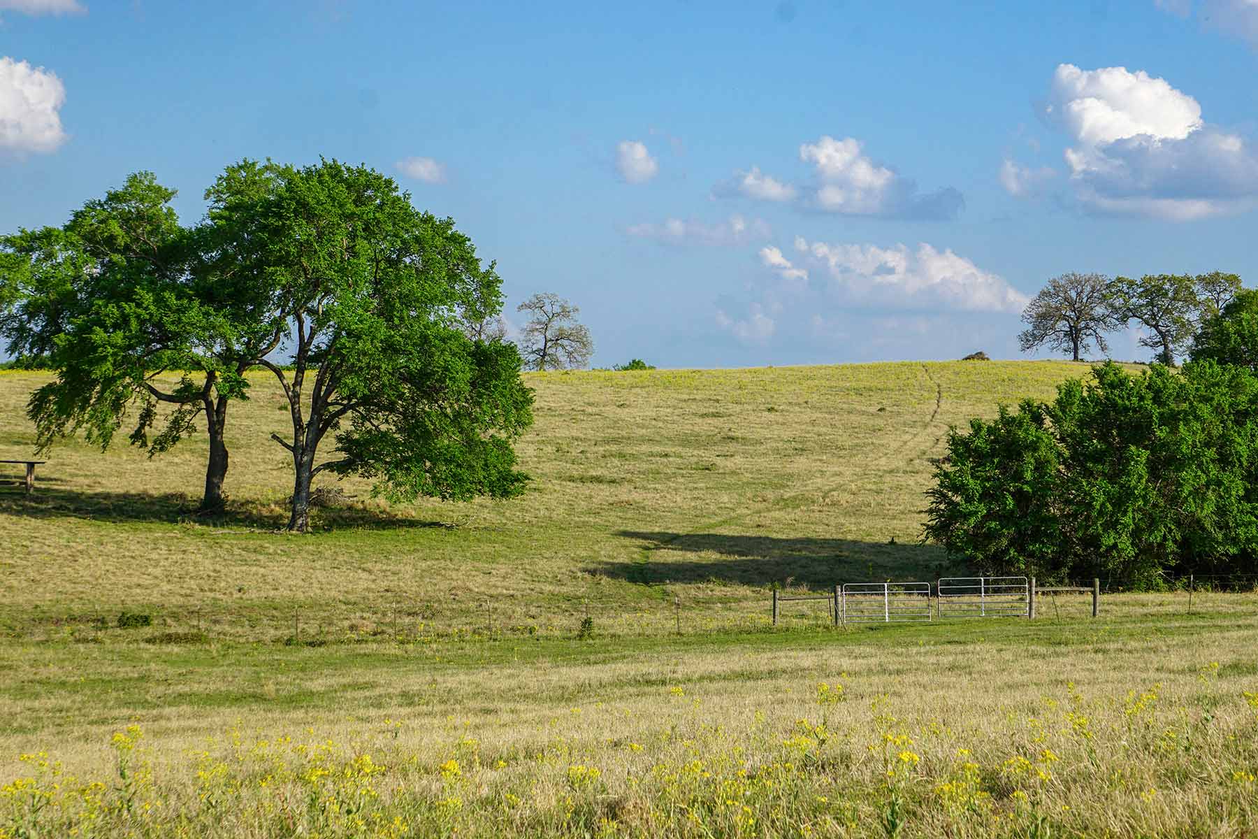 Rainbolt Ranch property picture 13 of 45