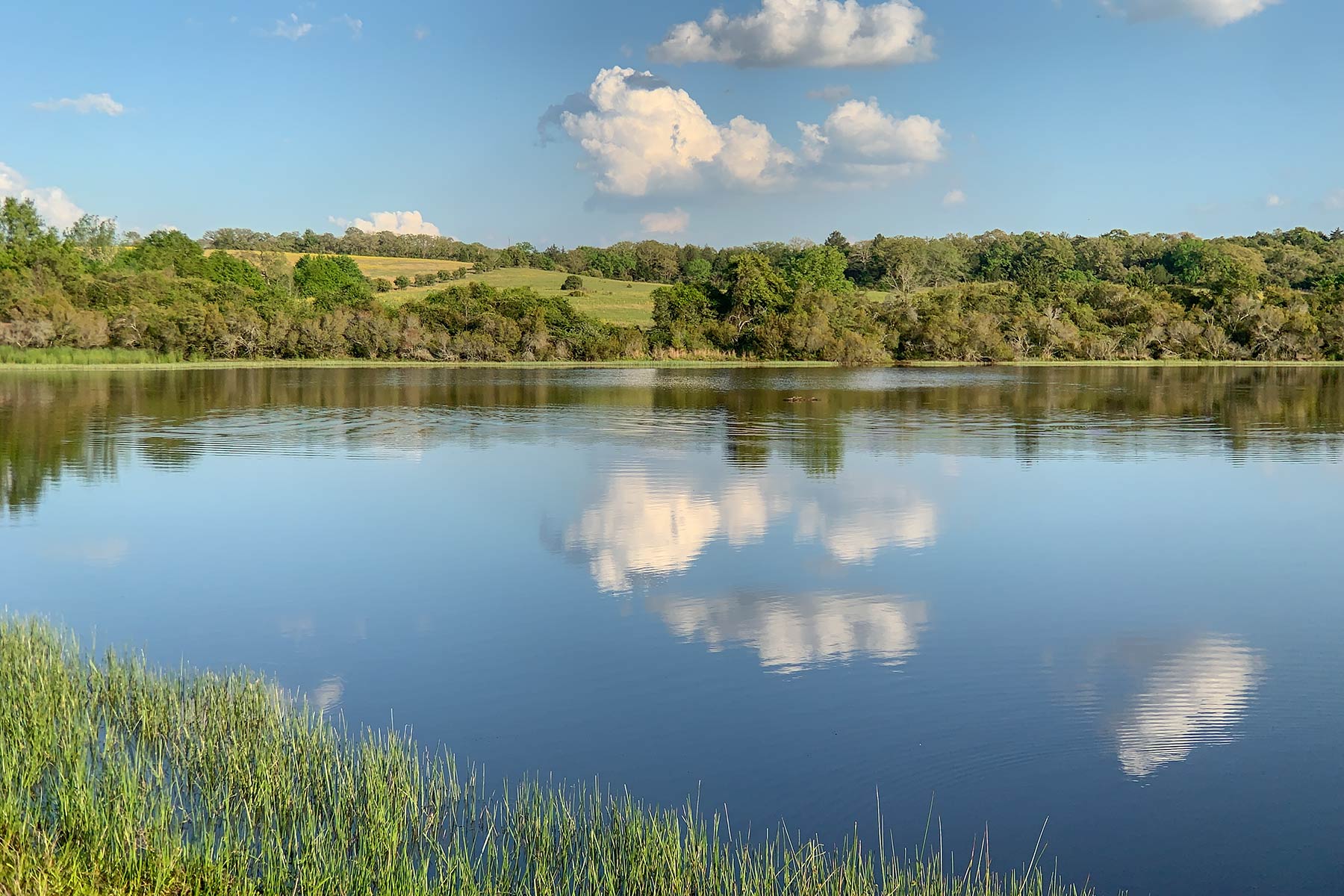 Rainbolt Ranch property picture 20 of 45