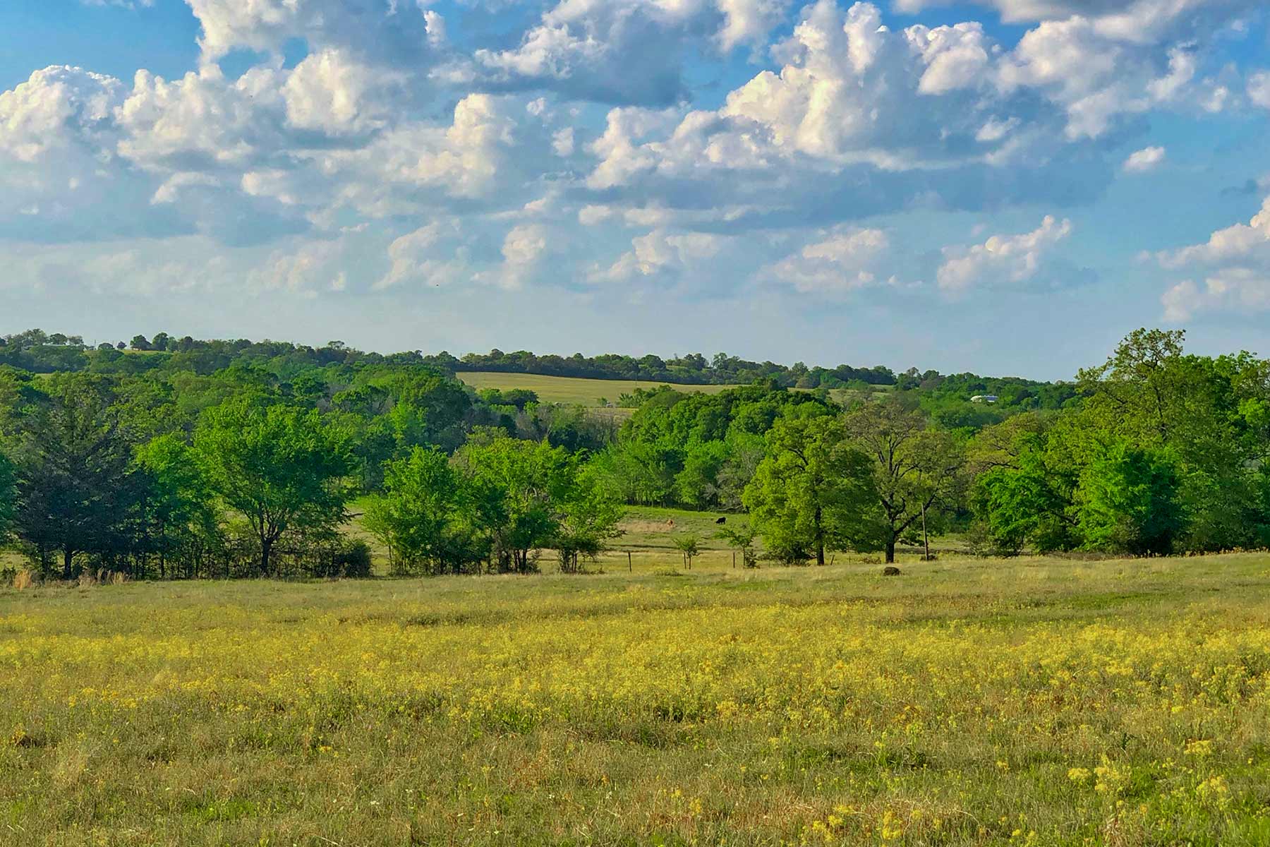 Rainbolt Ranch property picture 16 of 45