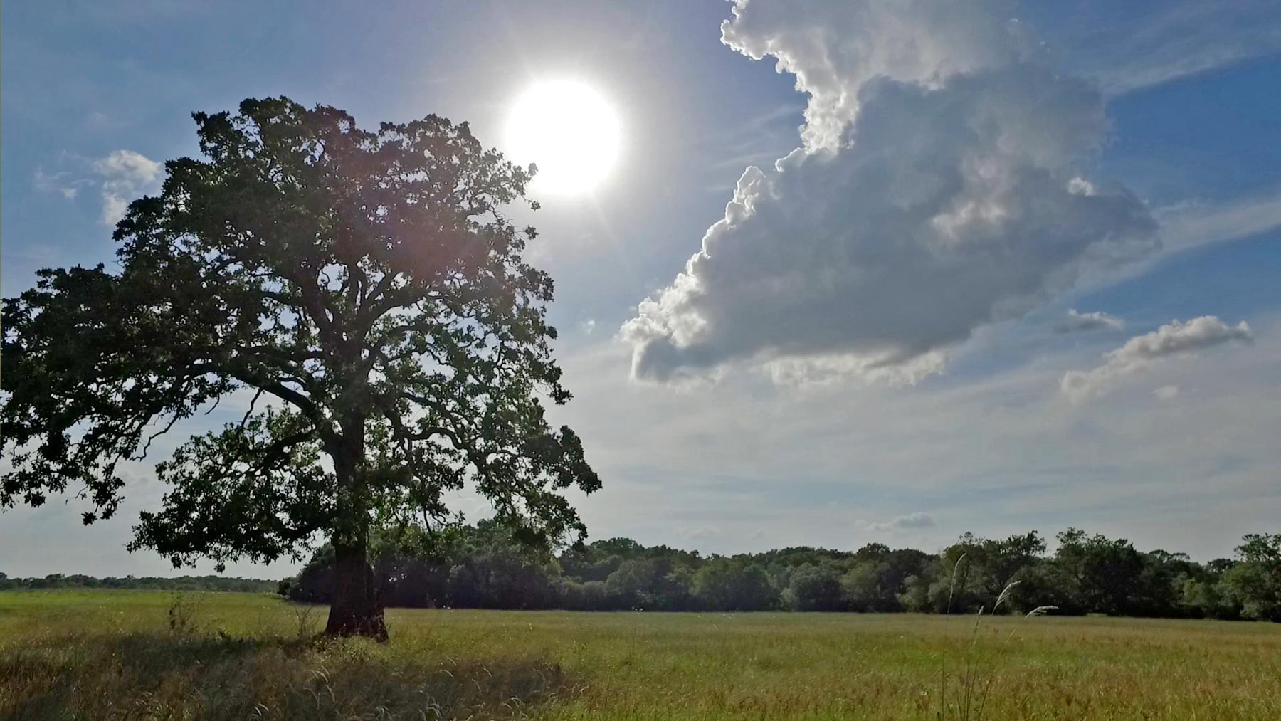 Rainbolt Ranch property picture 45 of 45