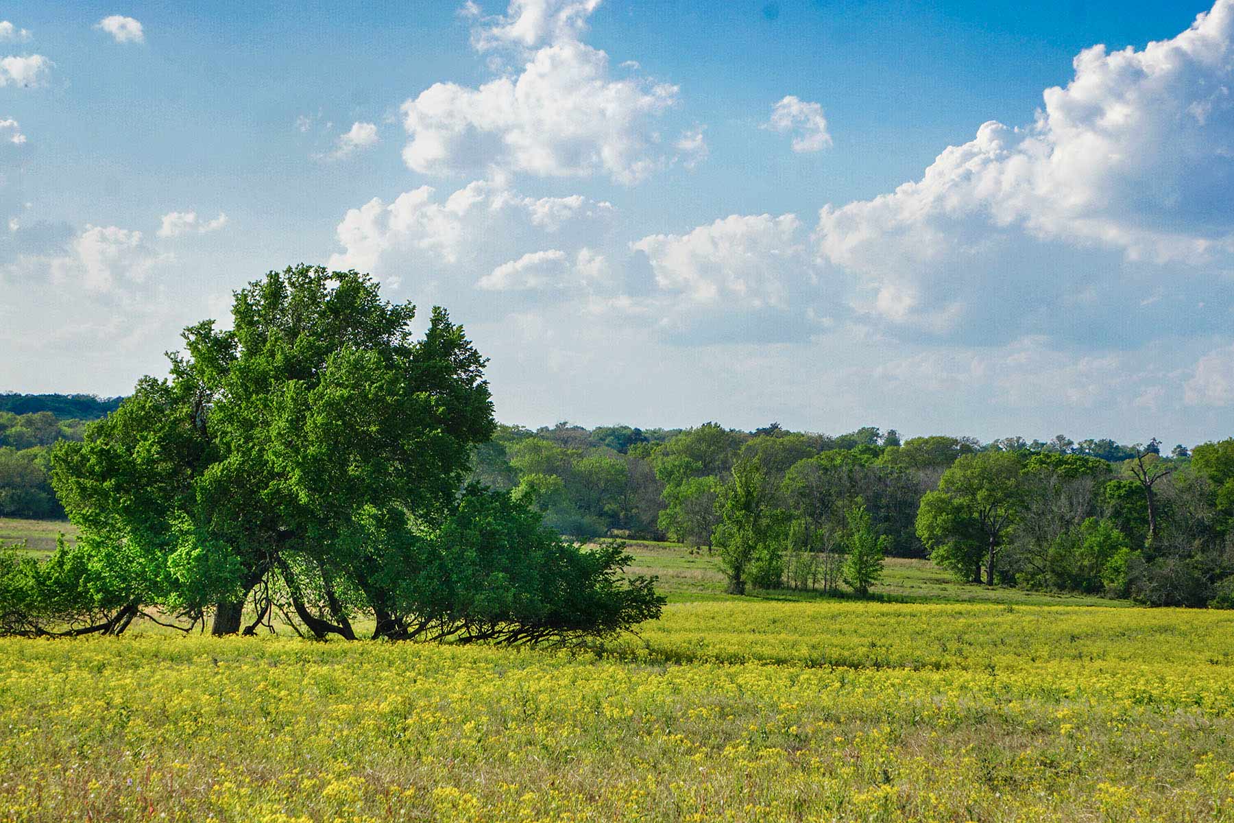 Rainbolt Ranch property picture 10 of 45