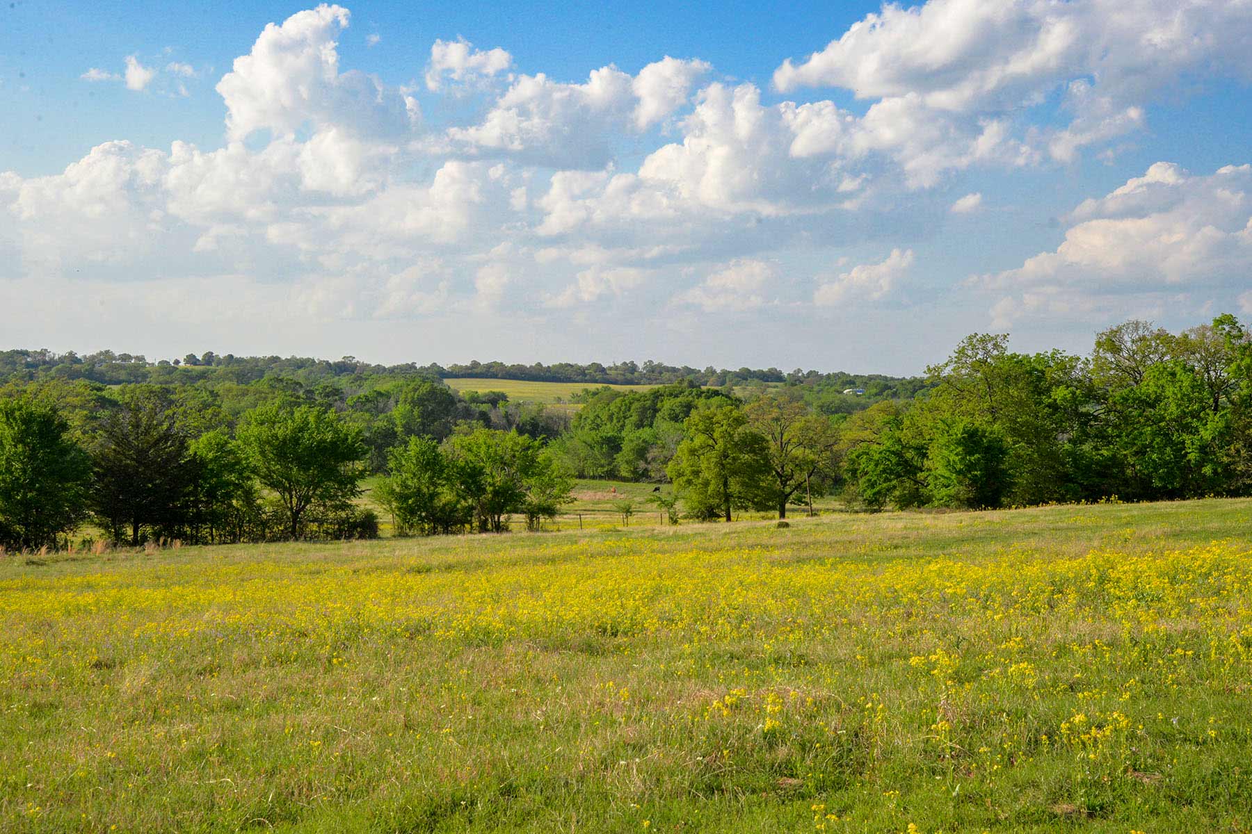 Rainbolt Ranch property picture 2 of 45