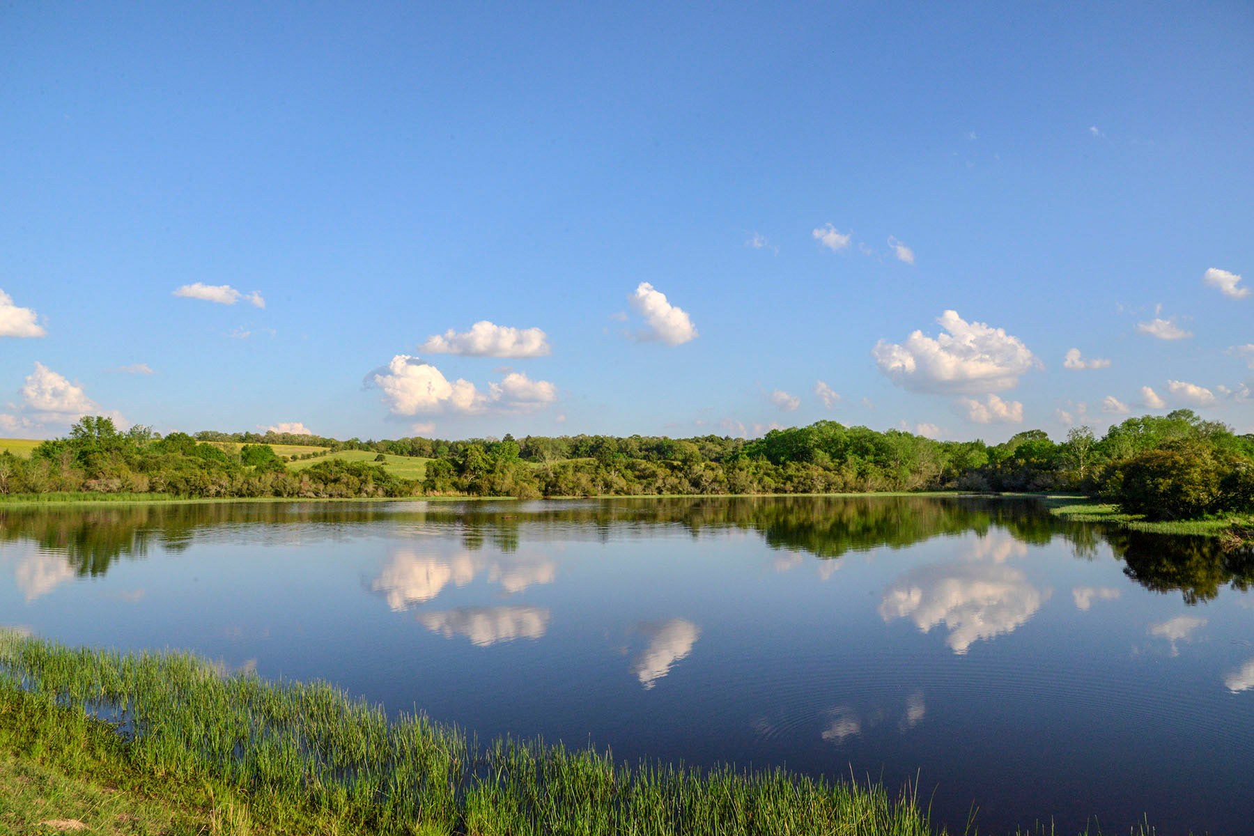 Rainbolt Ranch property picture 8 of 45