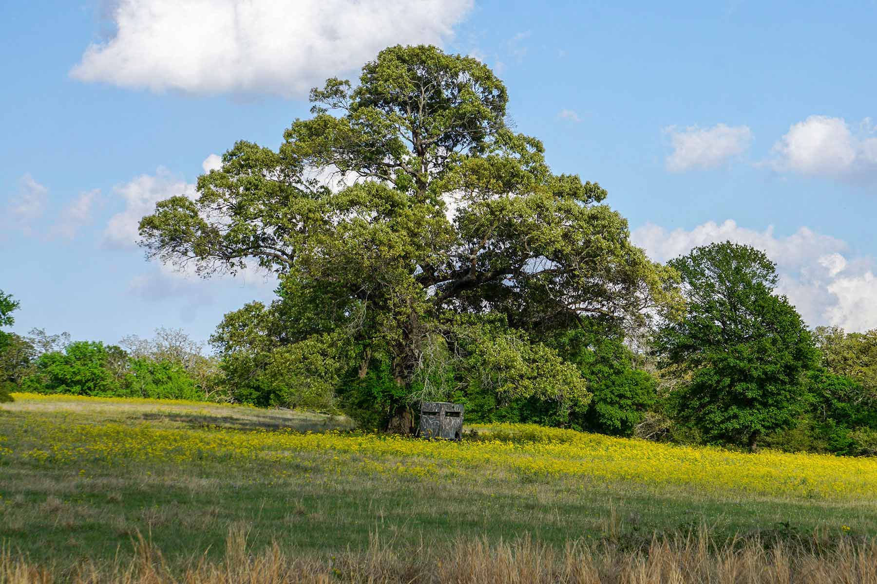 Rainbolt Ranch property picture 7 of 45