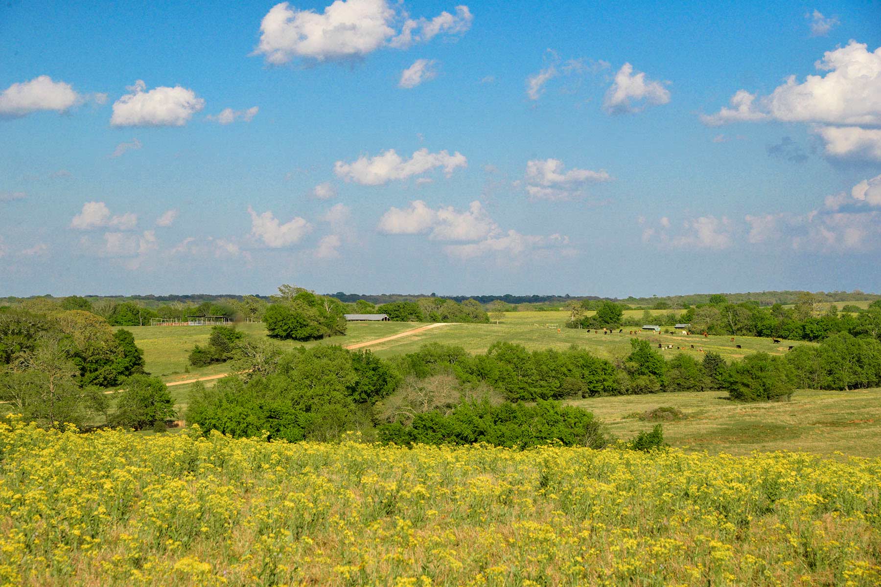 Rainbolt Ranch property picture 11 of 45