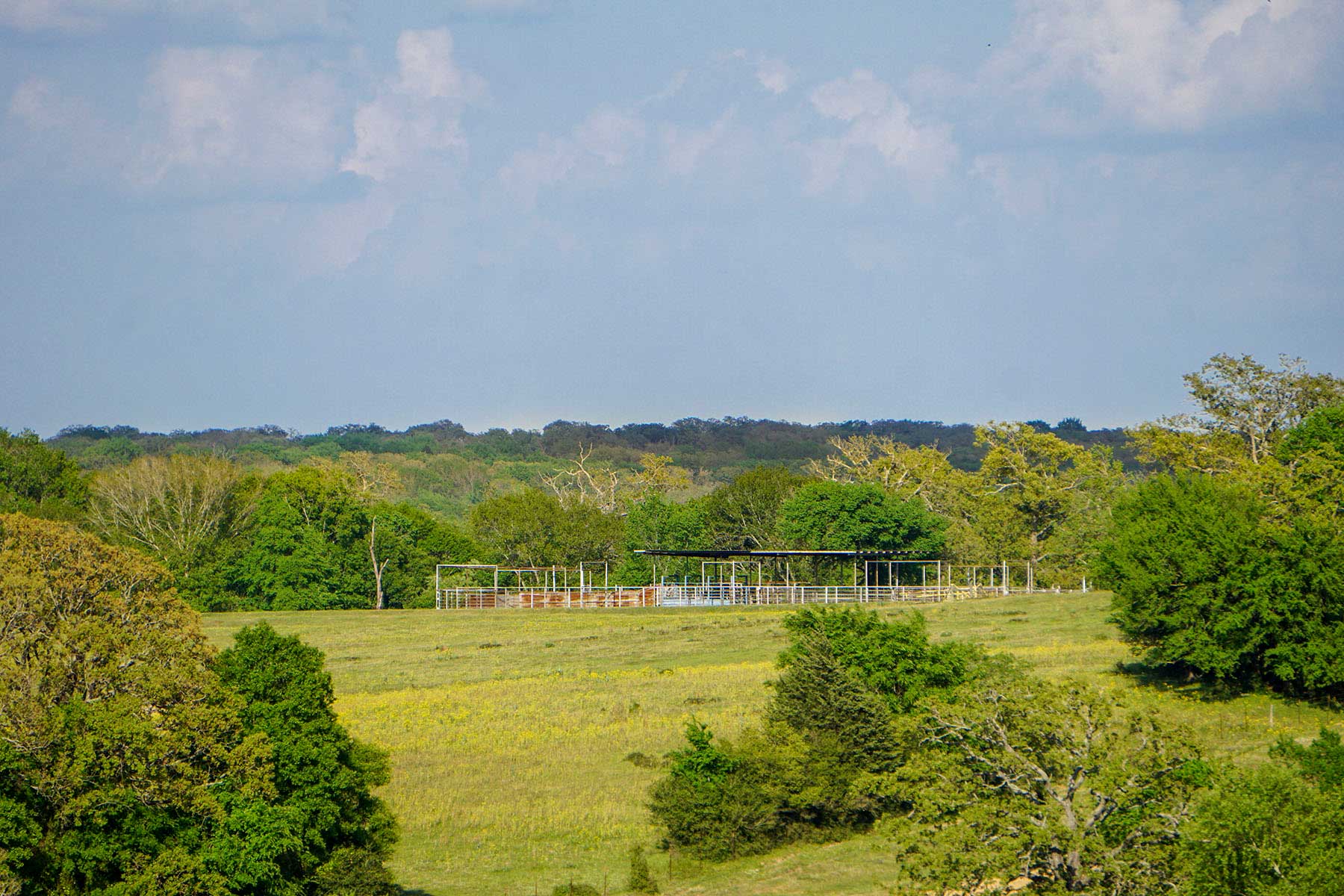 Rainbolt Ranch property picture 19 of 45