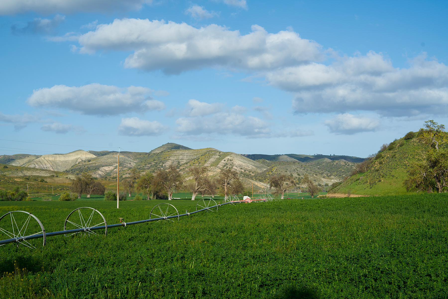 La Panza Ranch property picture 11 of 111