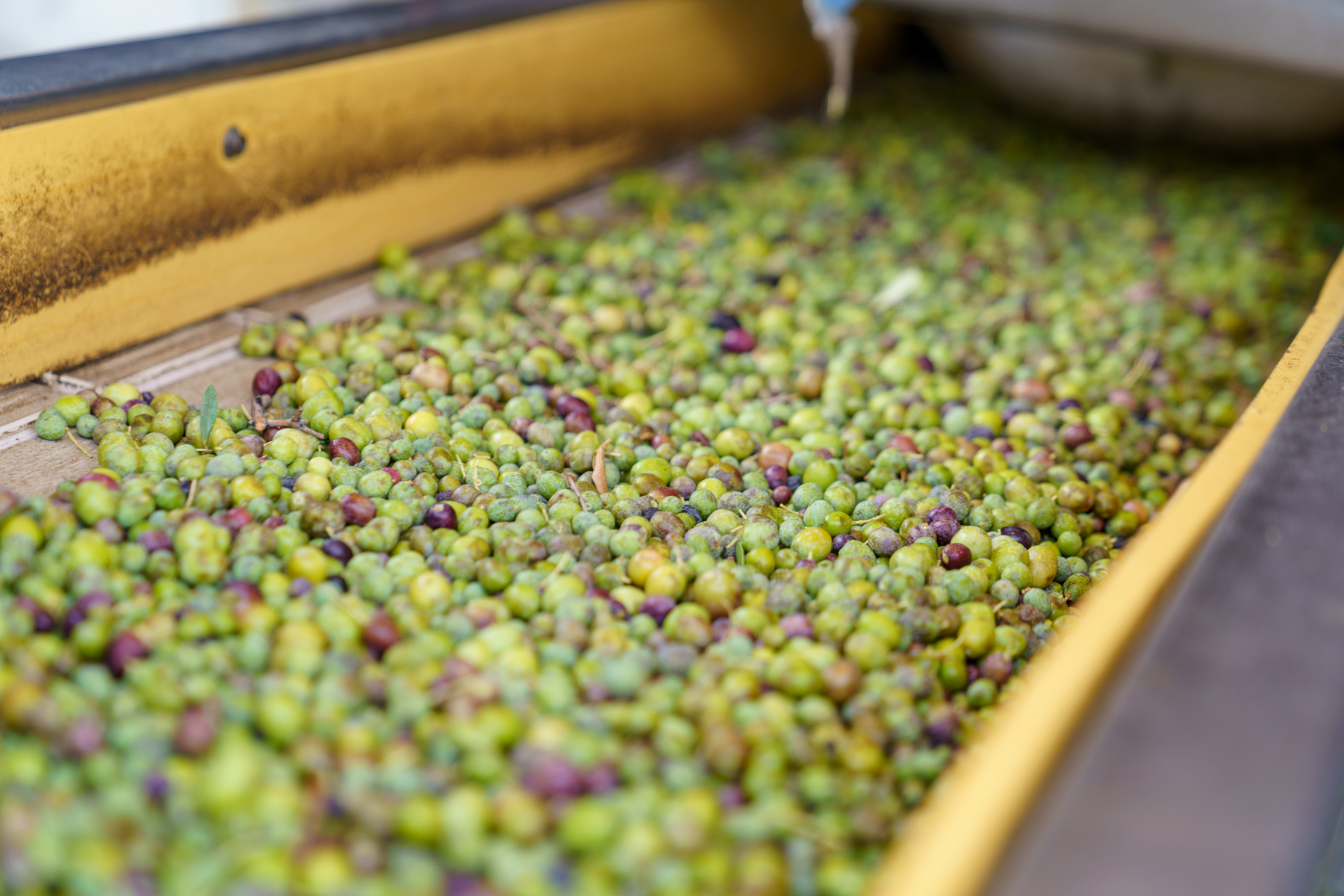 La Panza Ranch property picture 102 of 111