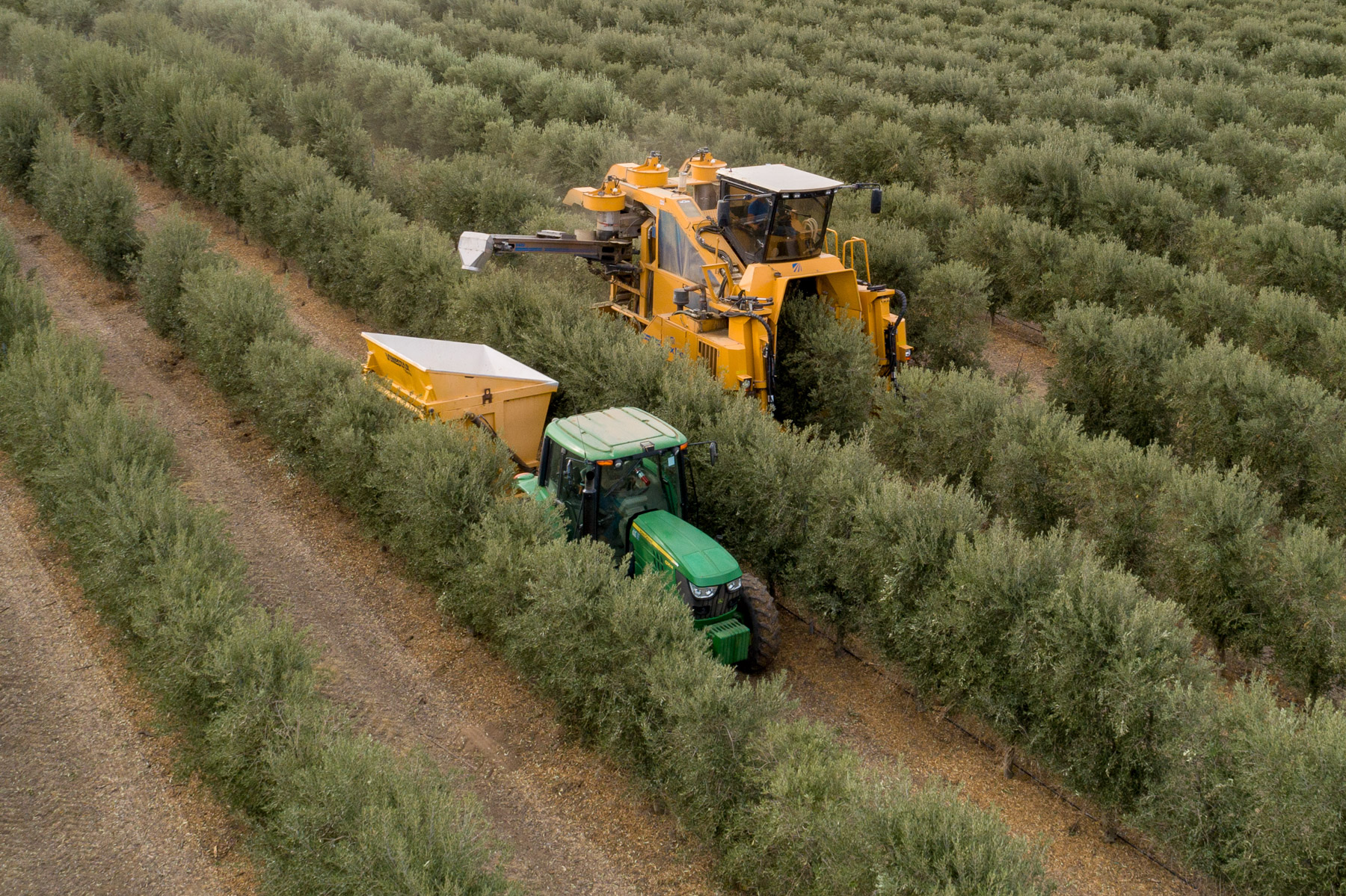 La Panza Ranch property picture 96 of 111