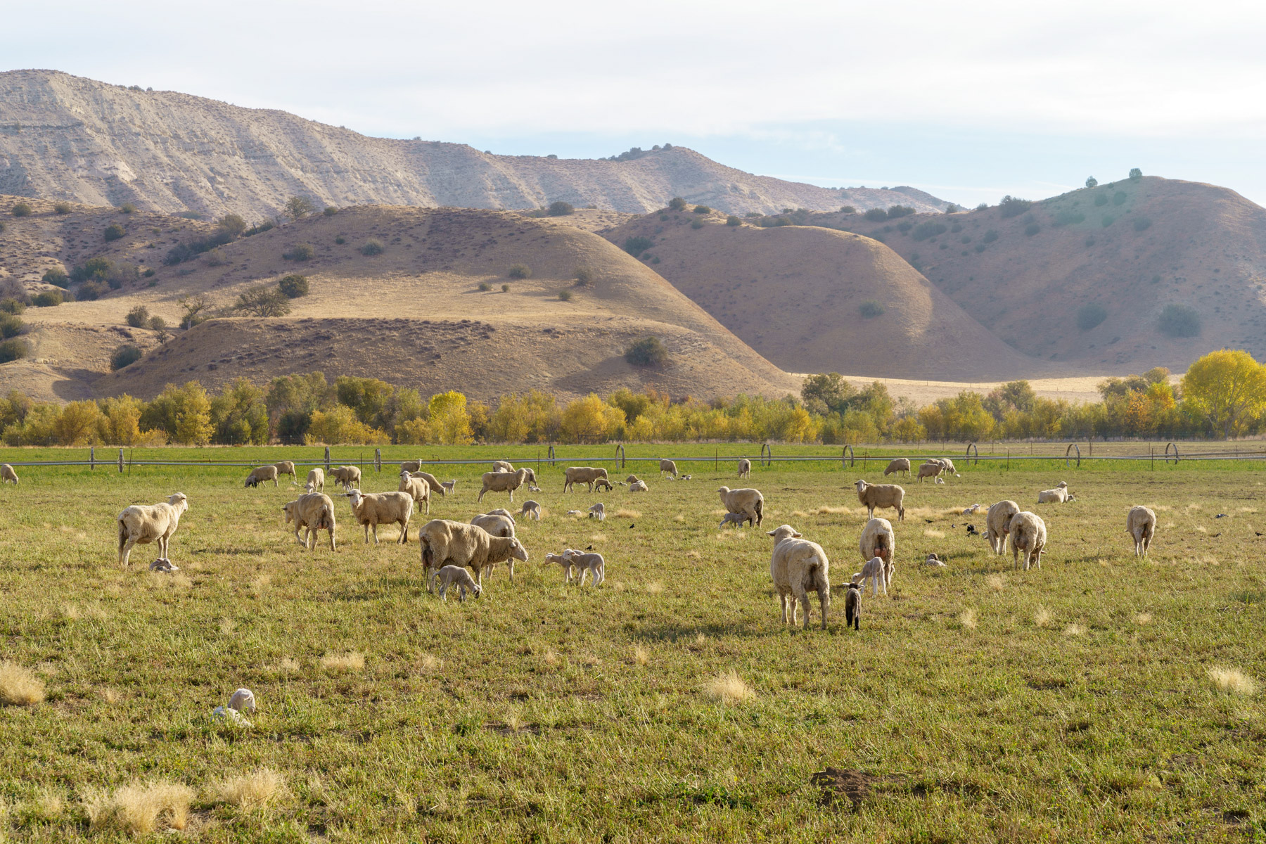 La Panza Ranch property picture 8 of 111