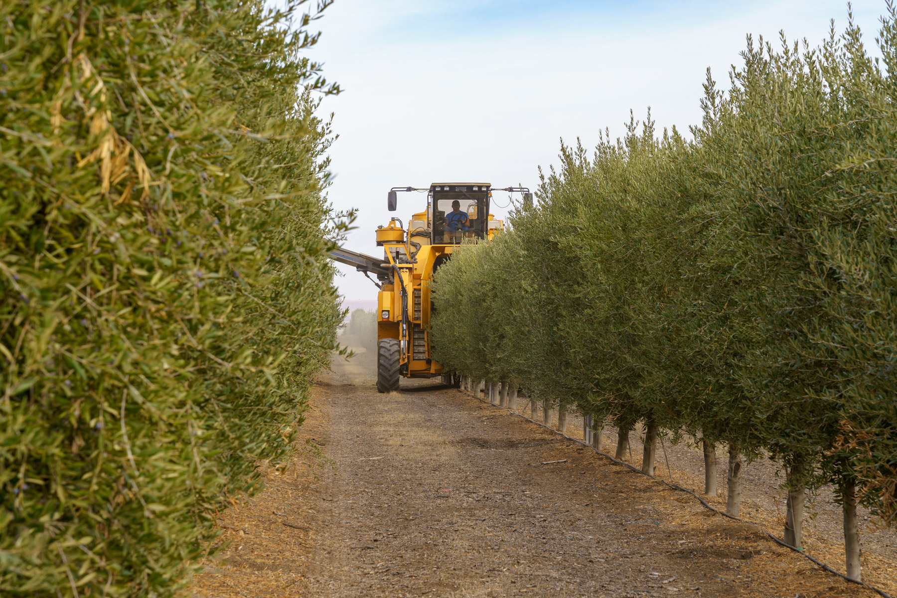 La Panza Ranch property picture 98 of 111
