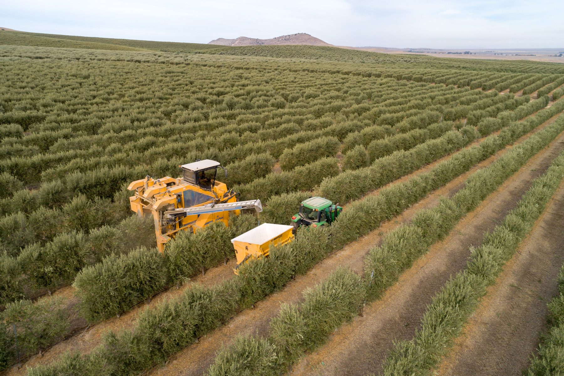 La Panza Ranch property picture 97 of 111