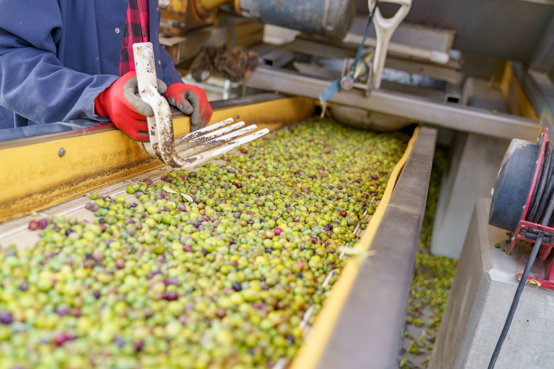 La Panza Ranch property picture 101 of 111