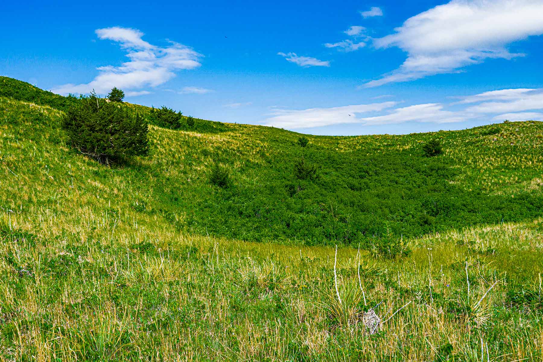 Duck Bar Ranch property picture 116 of 140
