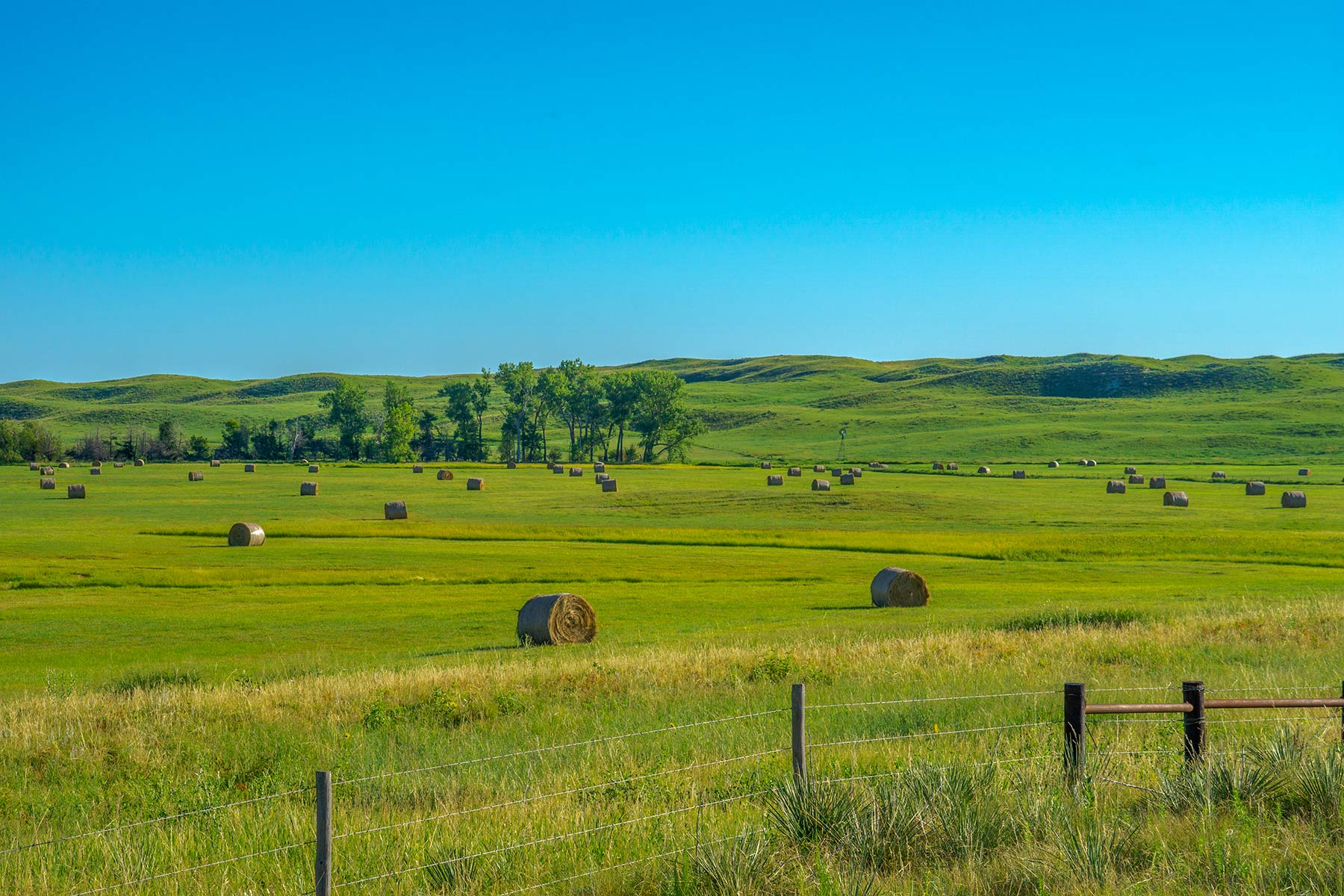 Duck Bar Ranch property picture 84 of 140