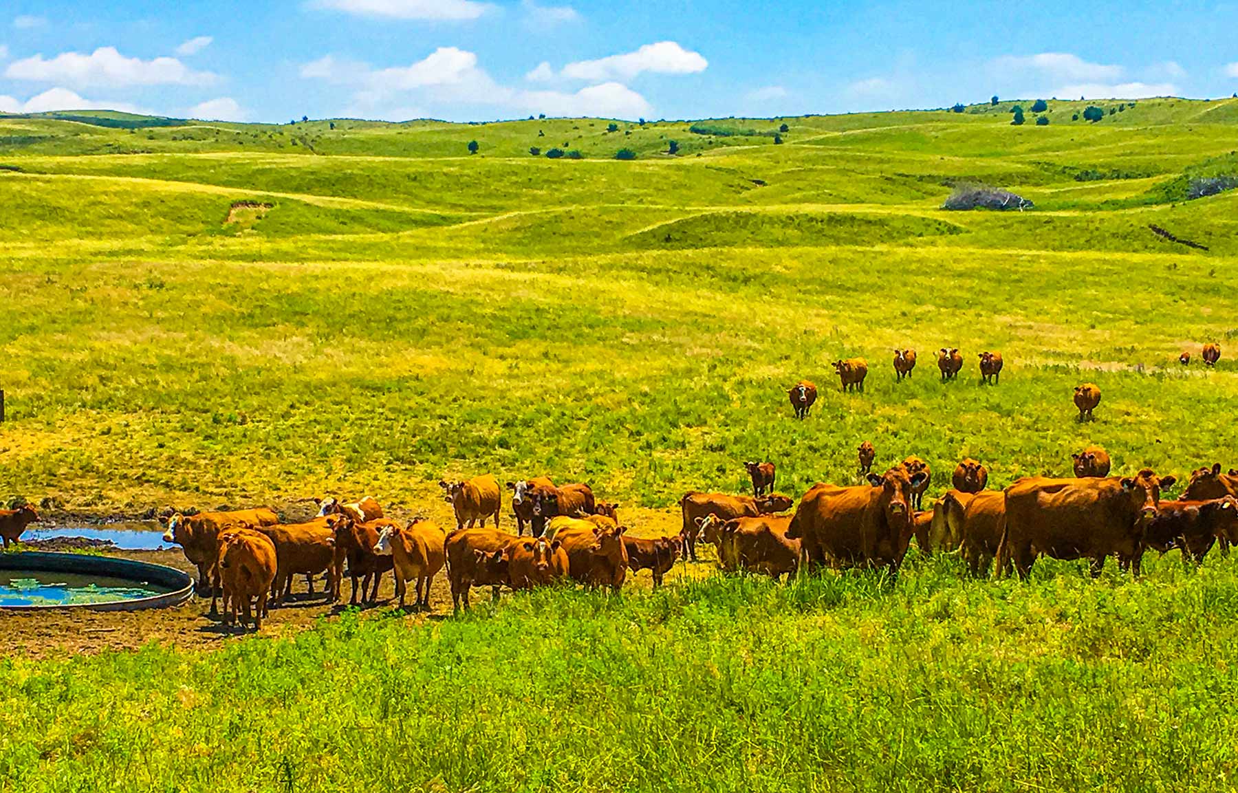 Duck Bar Ranch property picture 41 of 140