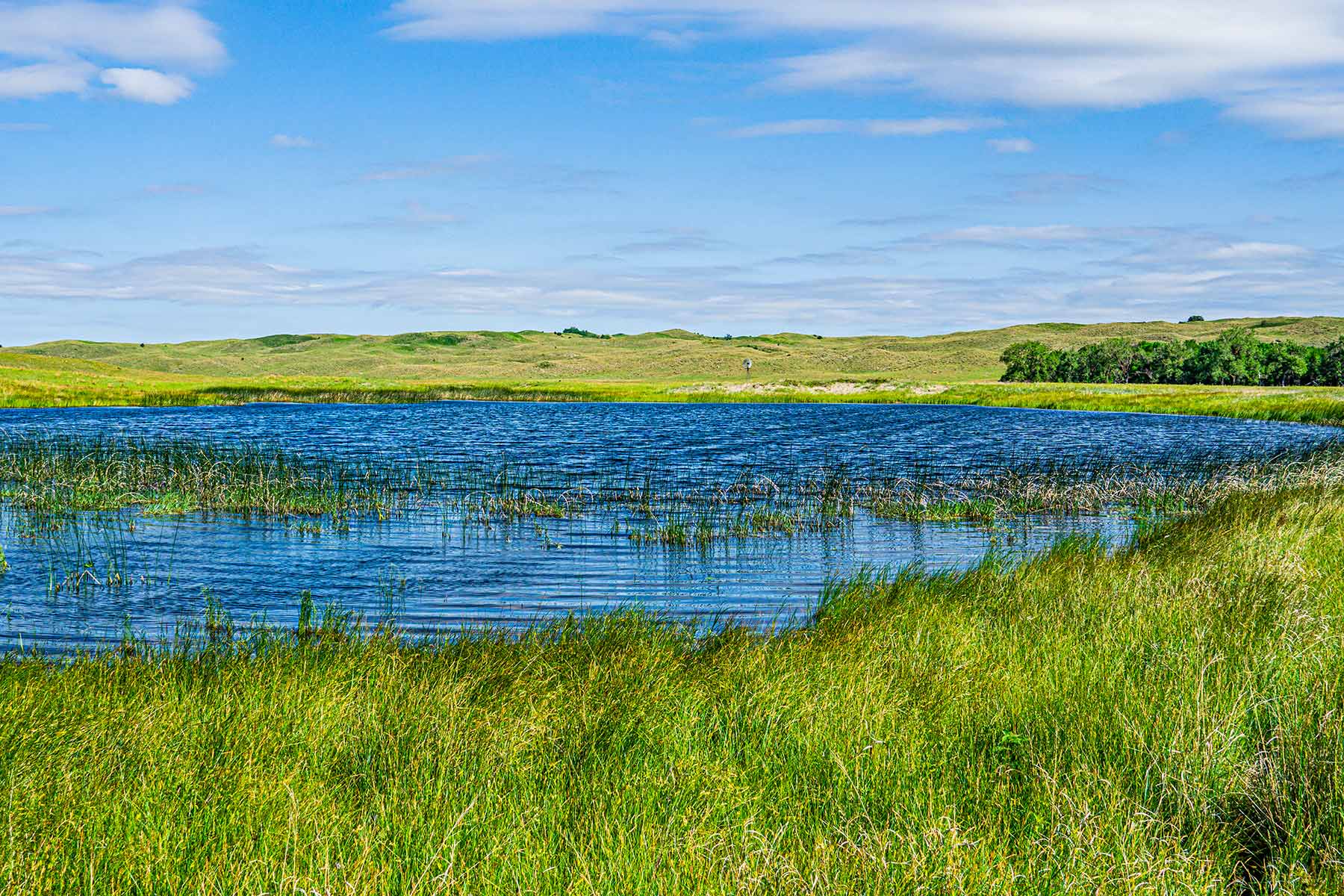 Duck Bar Ranch property picture 80 of 140
