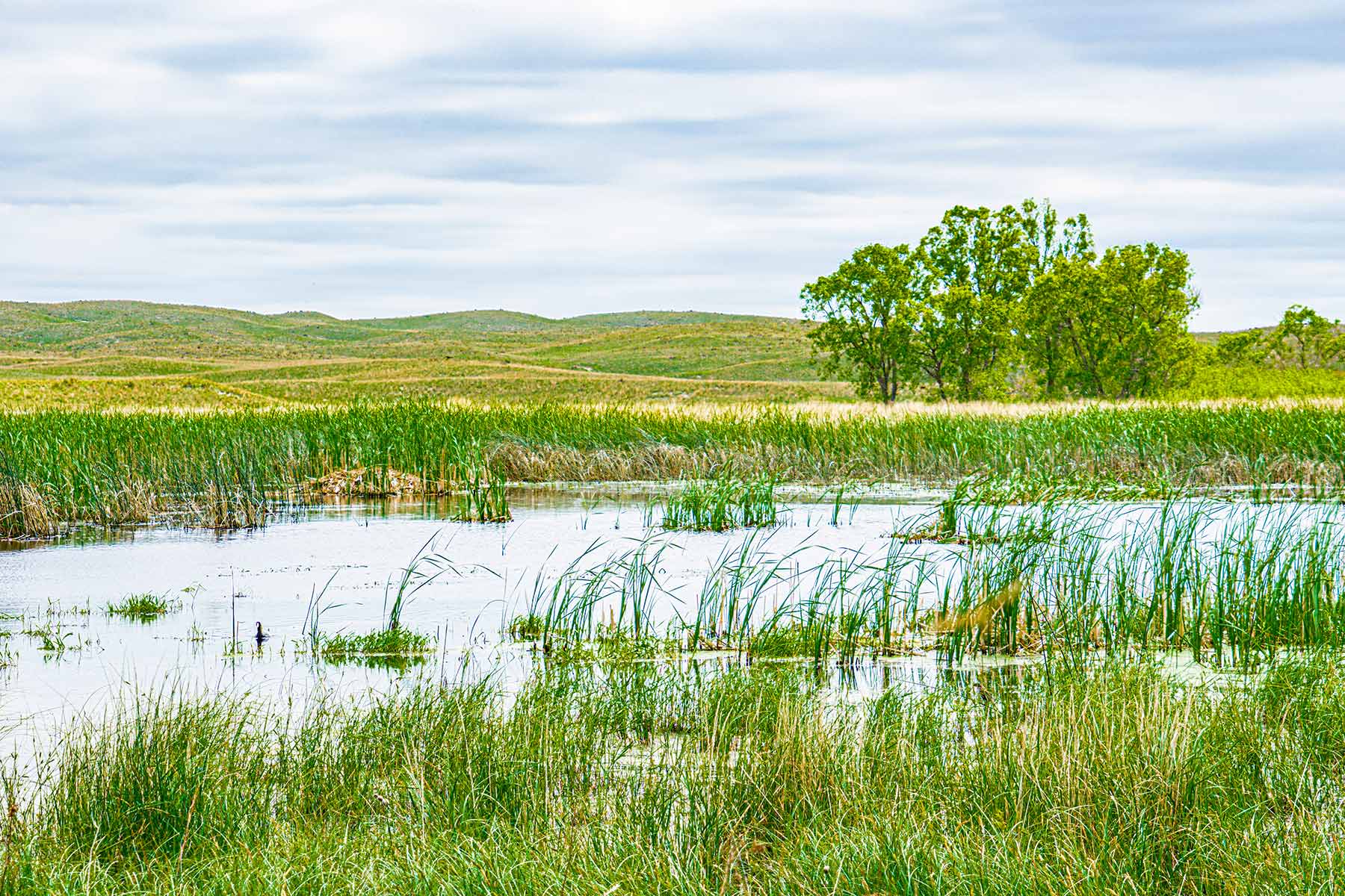 Duck Bar Ranch property picture 132 of 140