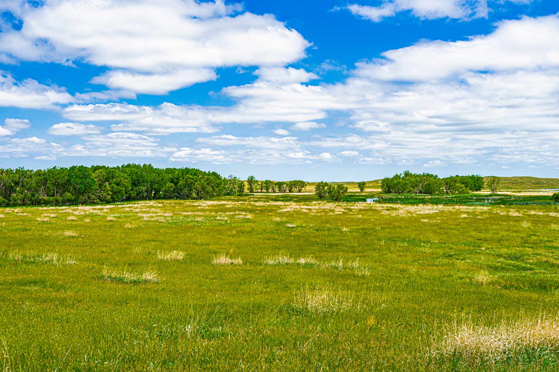 Duck Bar Ranch property picture 131 of 140