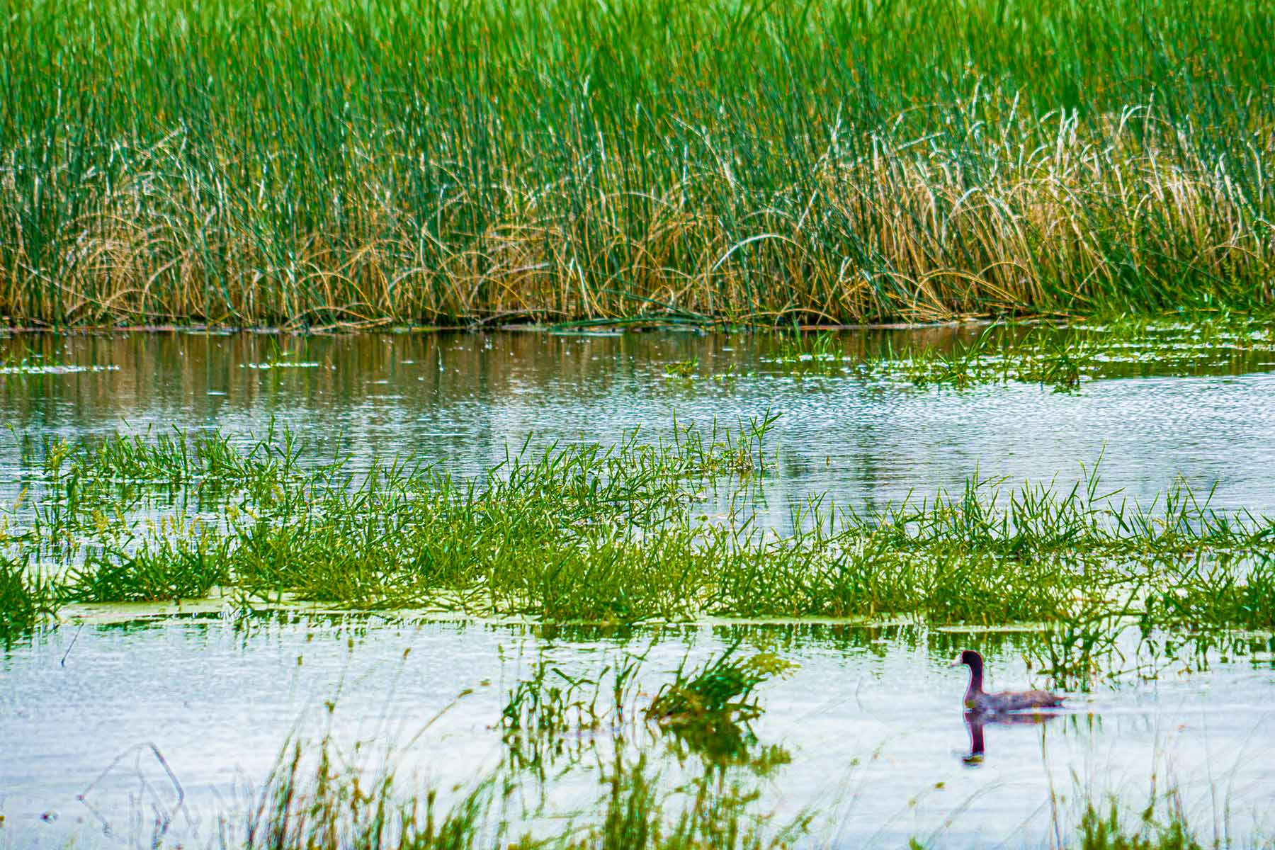 Duck Bar Ranch property picture 133 of 140