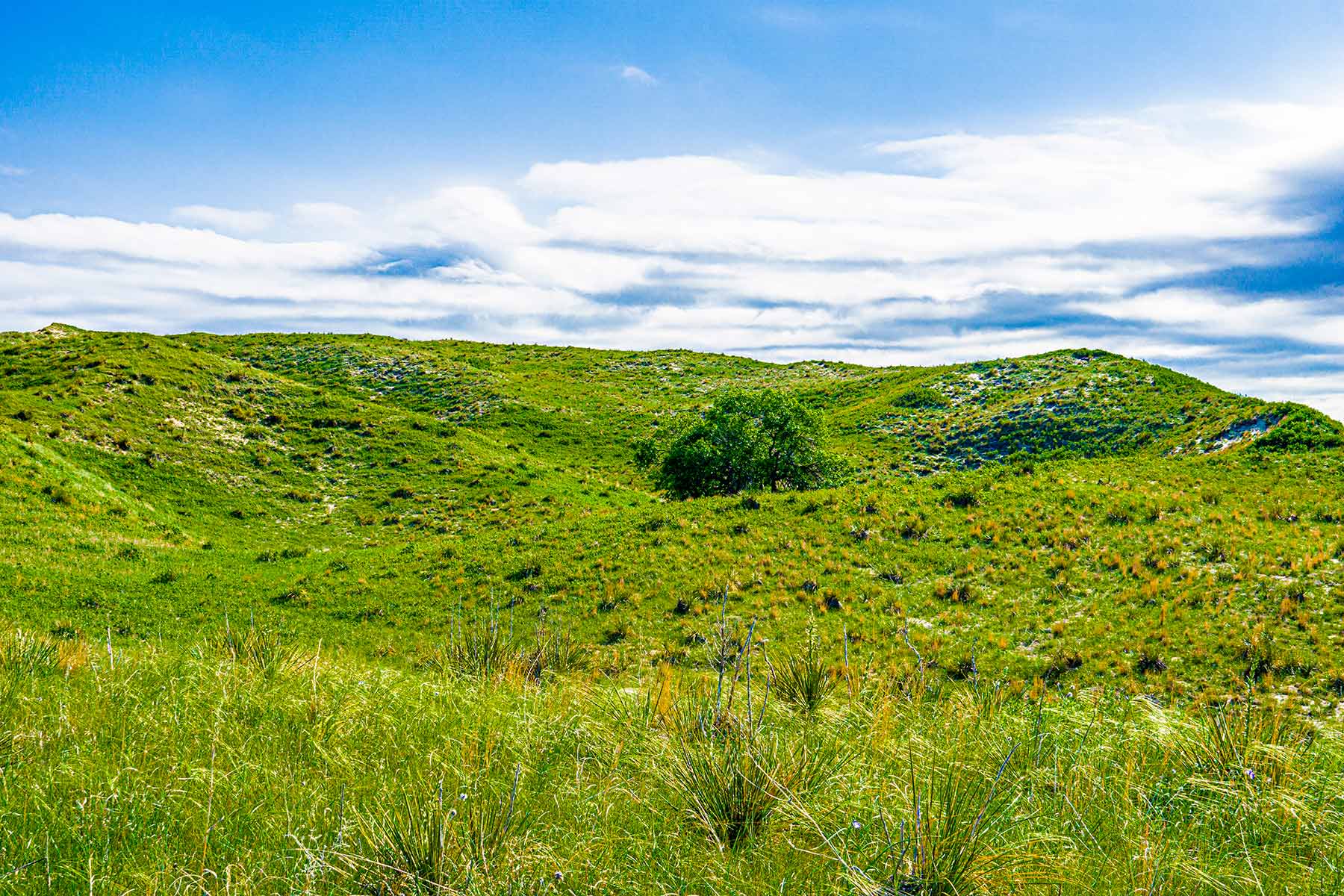 Duck Bar Ranch property picture 89 of 140