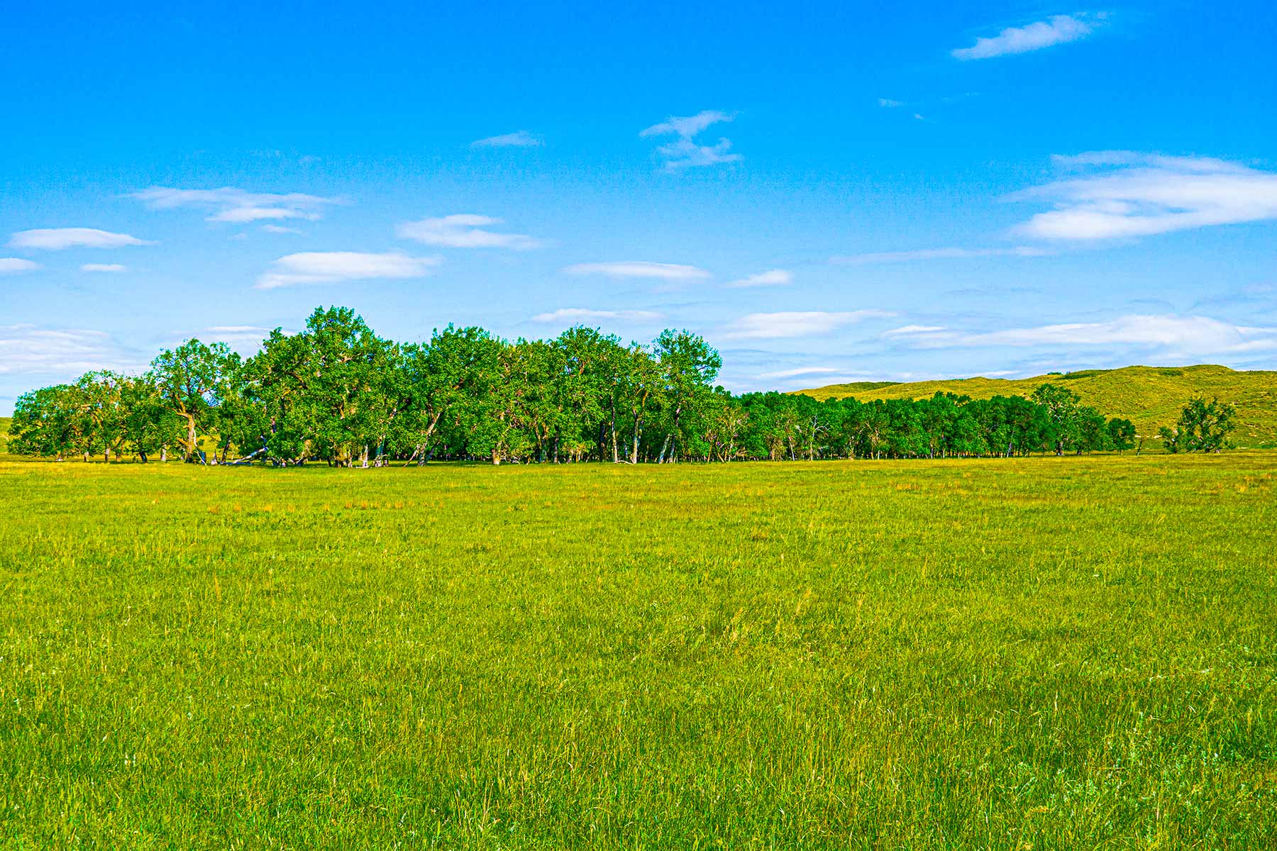 Duck Bar Ranch property picture 124 of 140