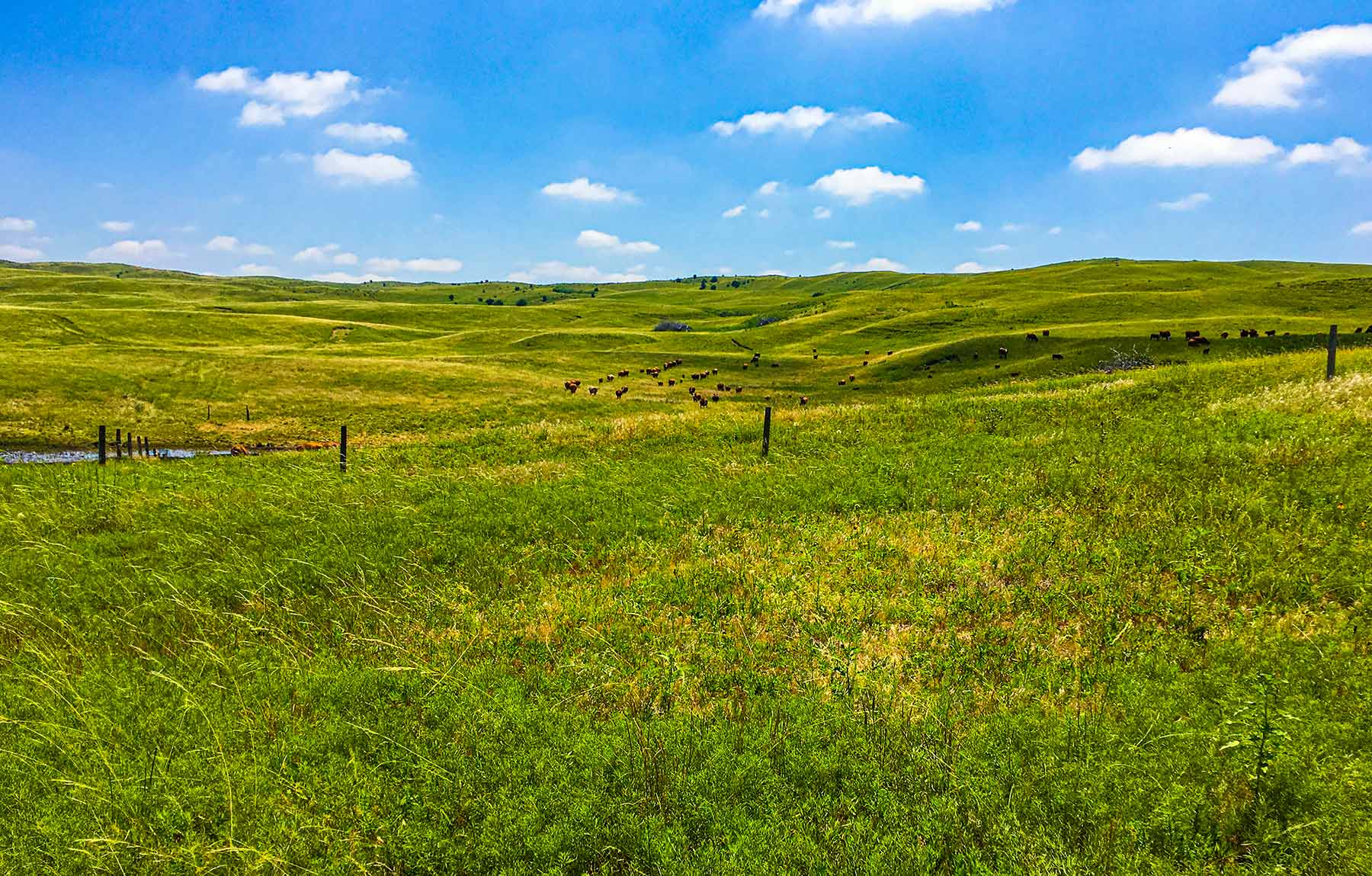Duck Bar Ranch property picture 34 of 140