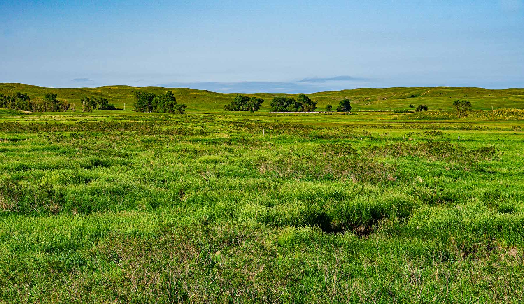 Duck Bar Ranch property picture 105 of 140