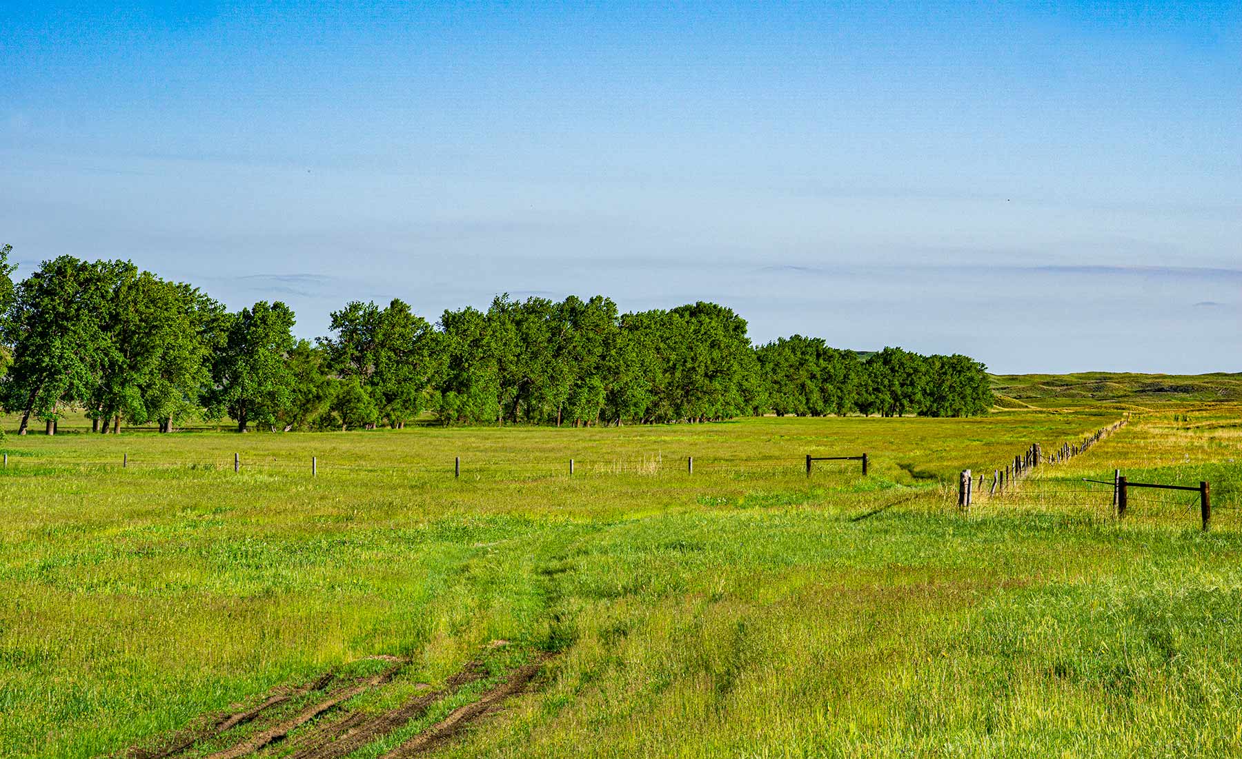Duck Bar Ranch property picture 111 of 140