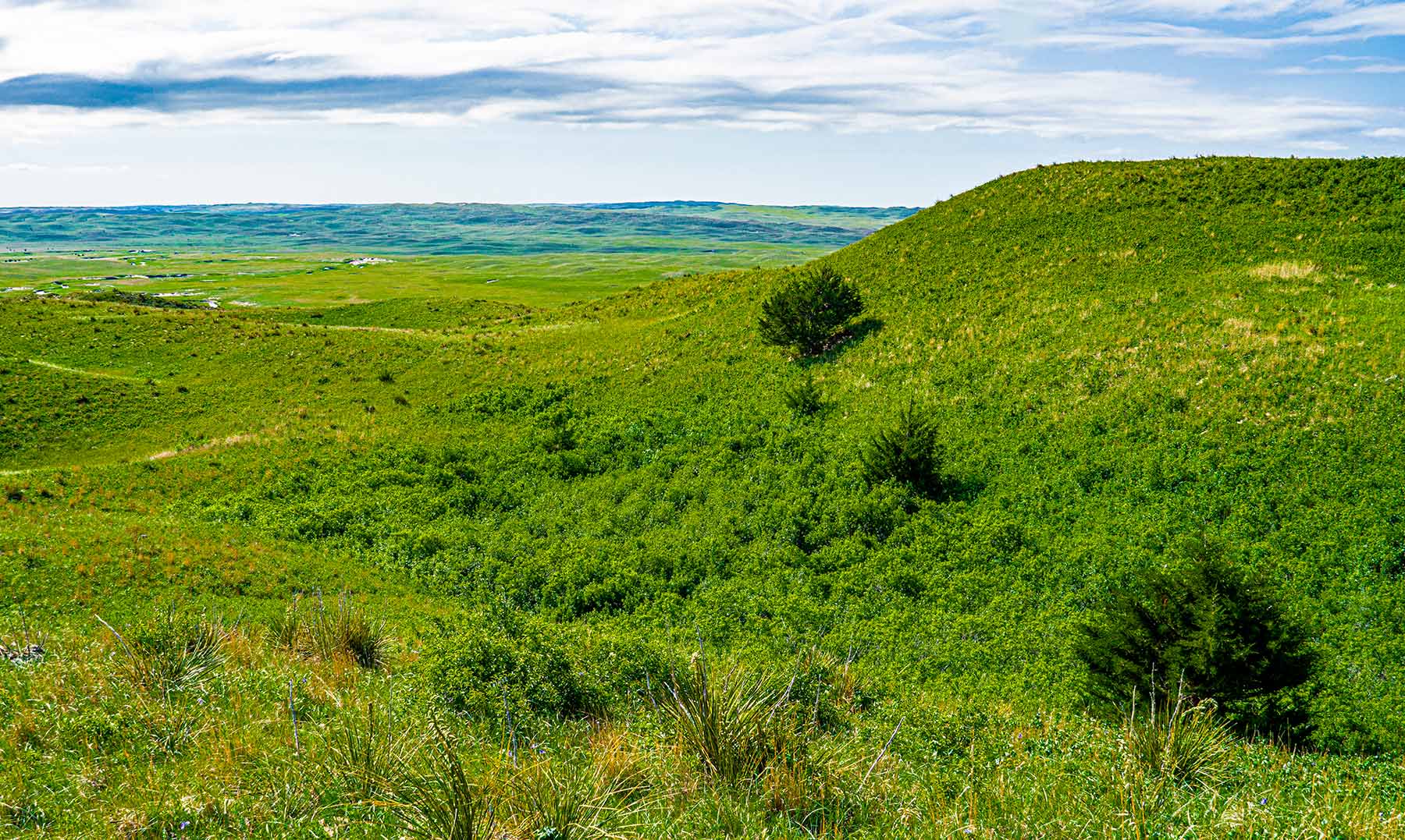 Duck Bar Ranch property picture 114 of 140