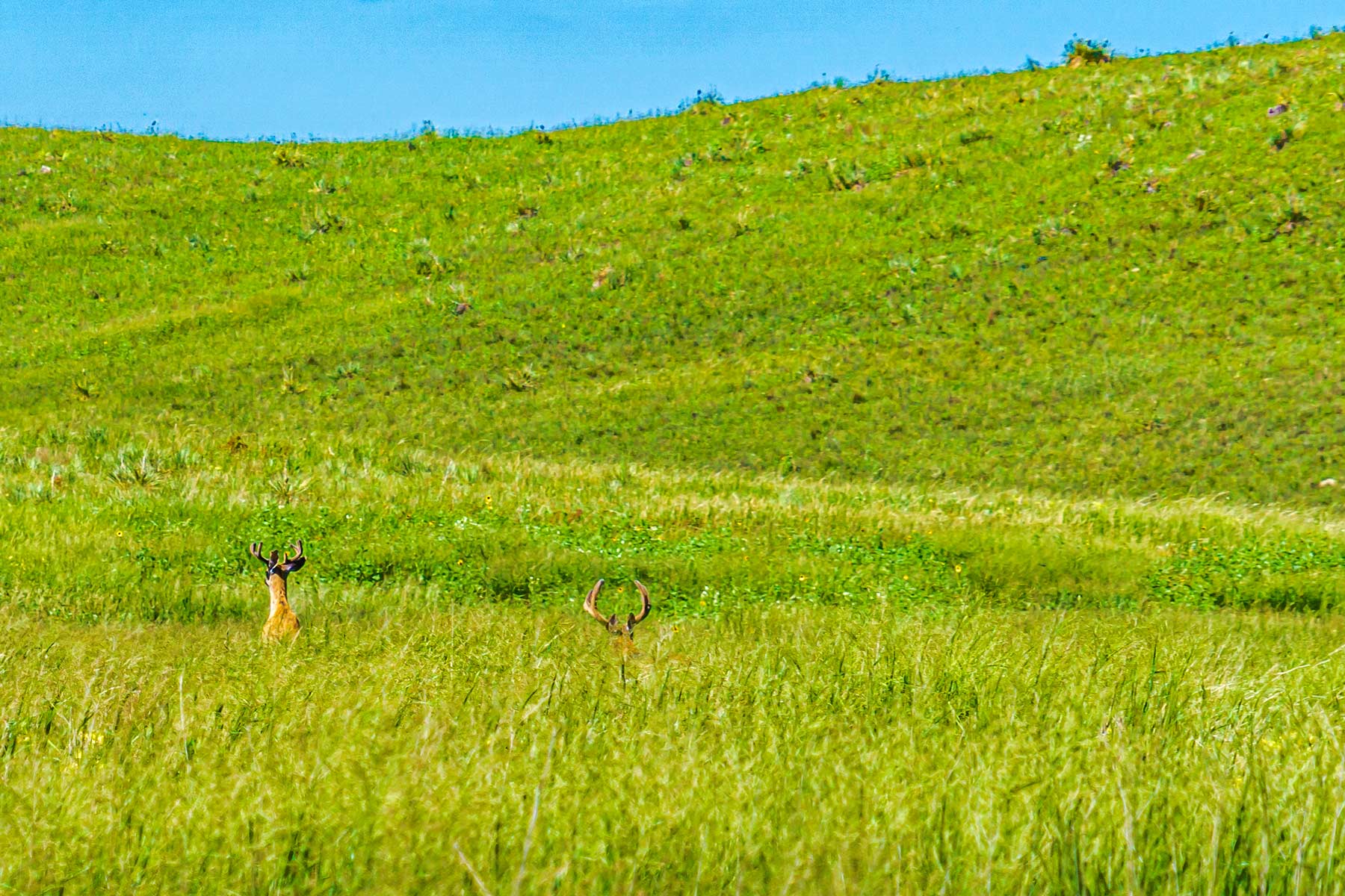 Duck Bar Ranch property picture 140 of 140