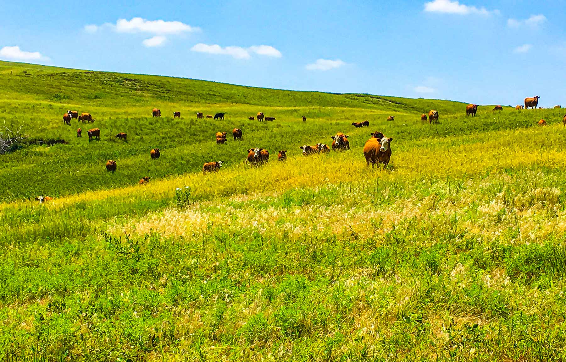 Duck Bar Ranch property picture 50 of 140