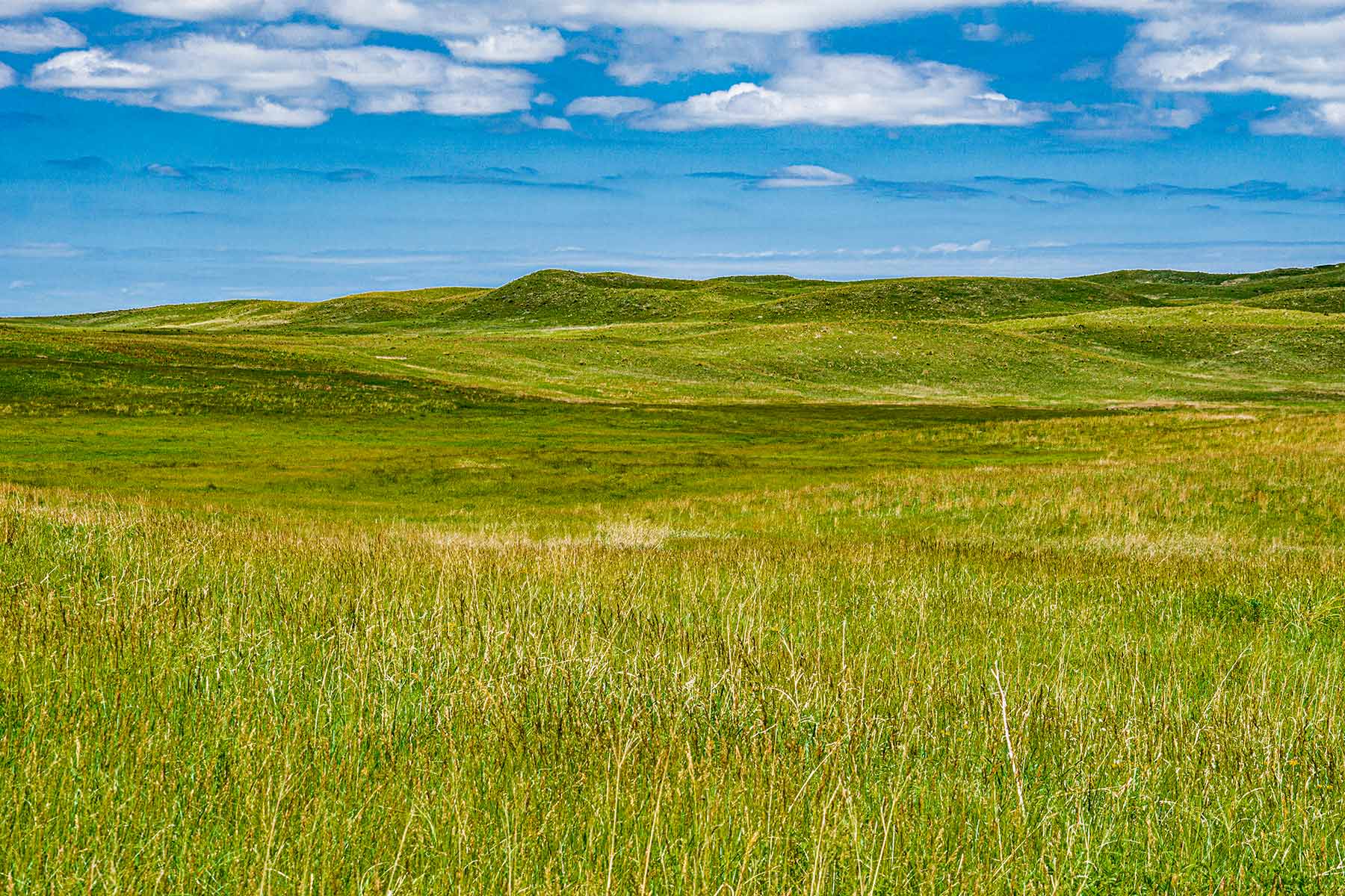 Duck Bar Ranch property picture 123 of 140